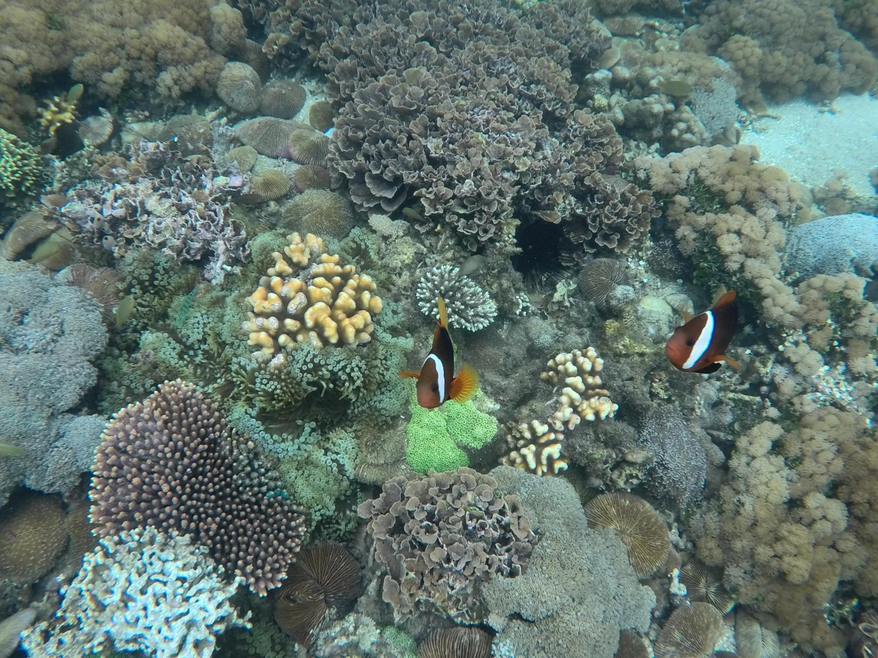 Ekas Surf Resort & Surf Camp