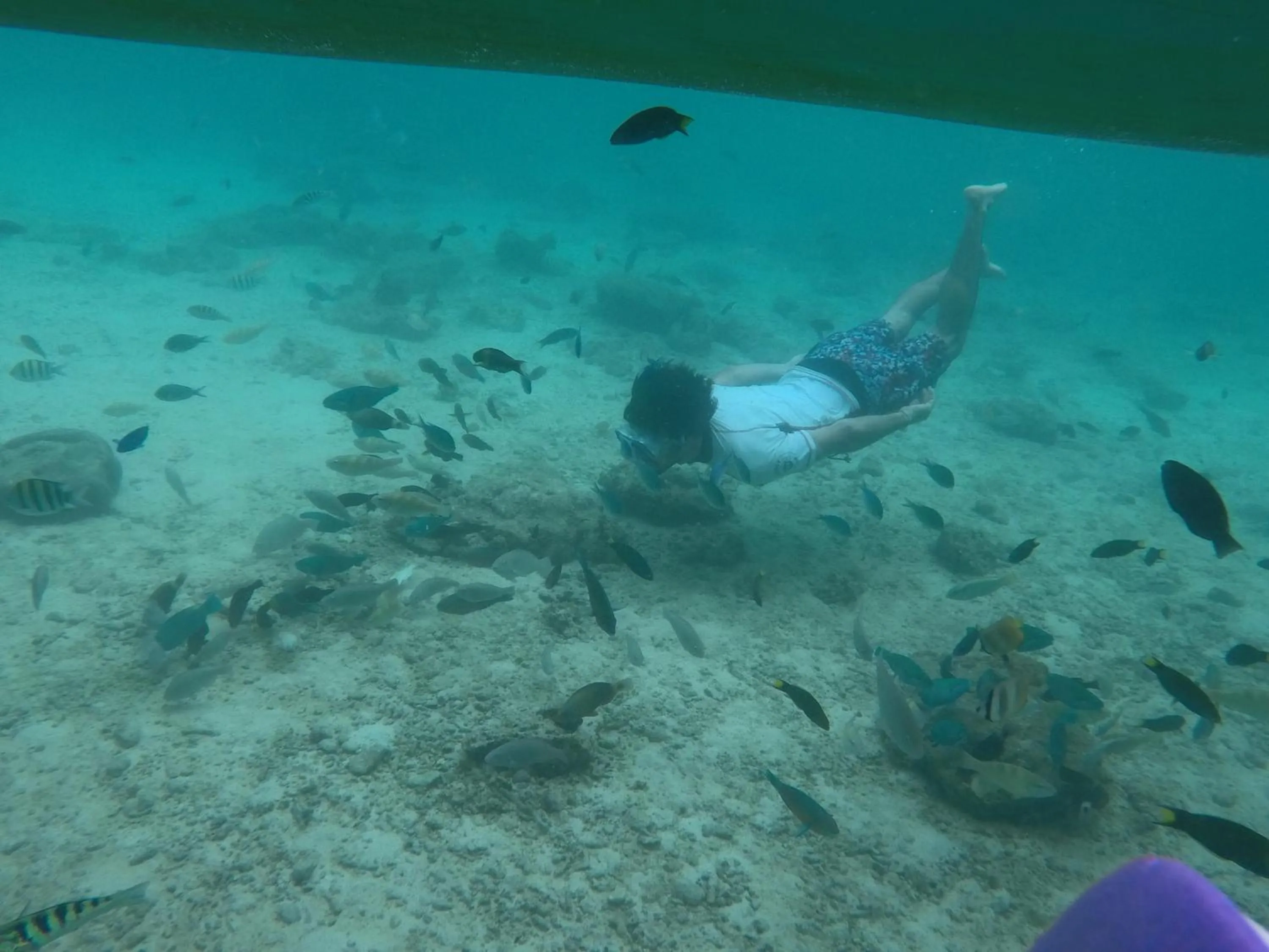 Ekas Surf Resort & Surf Camp