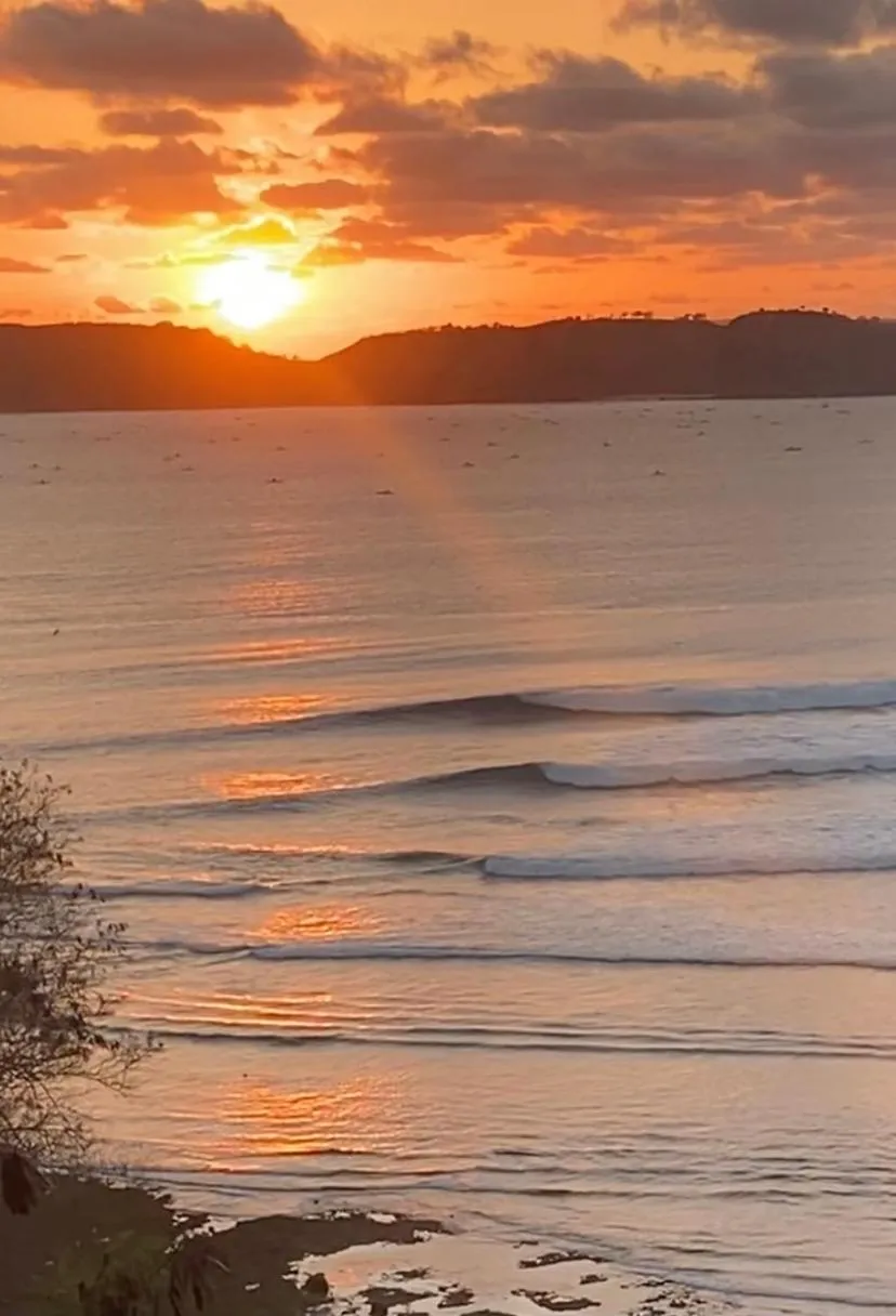 Natural landscape in Ekas Surf Resort & Surf Camp