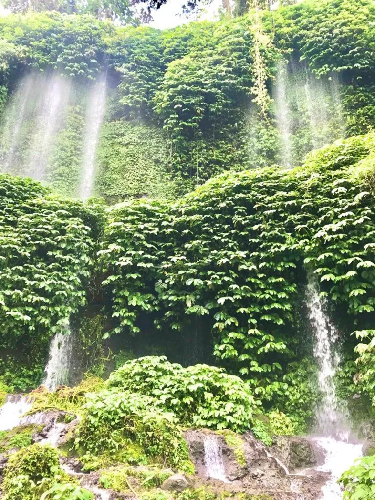 Natural landscape in Ekas Surf Resort & Surf Camp