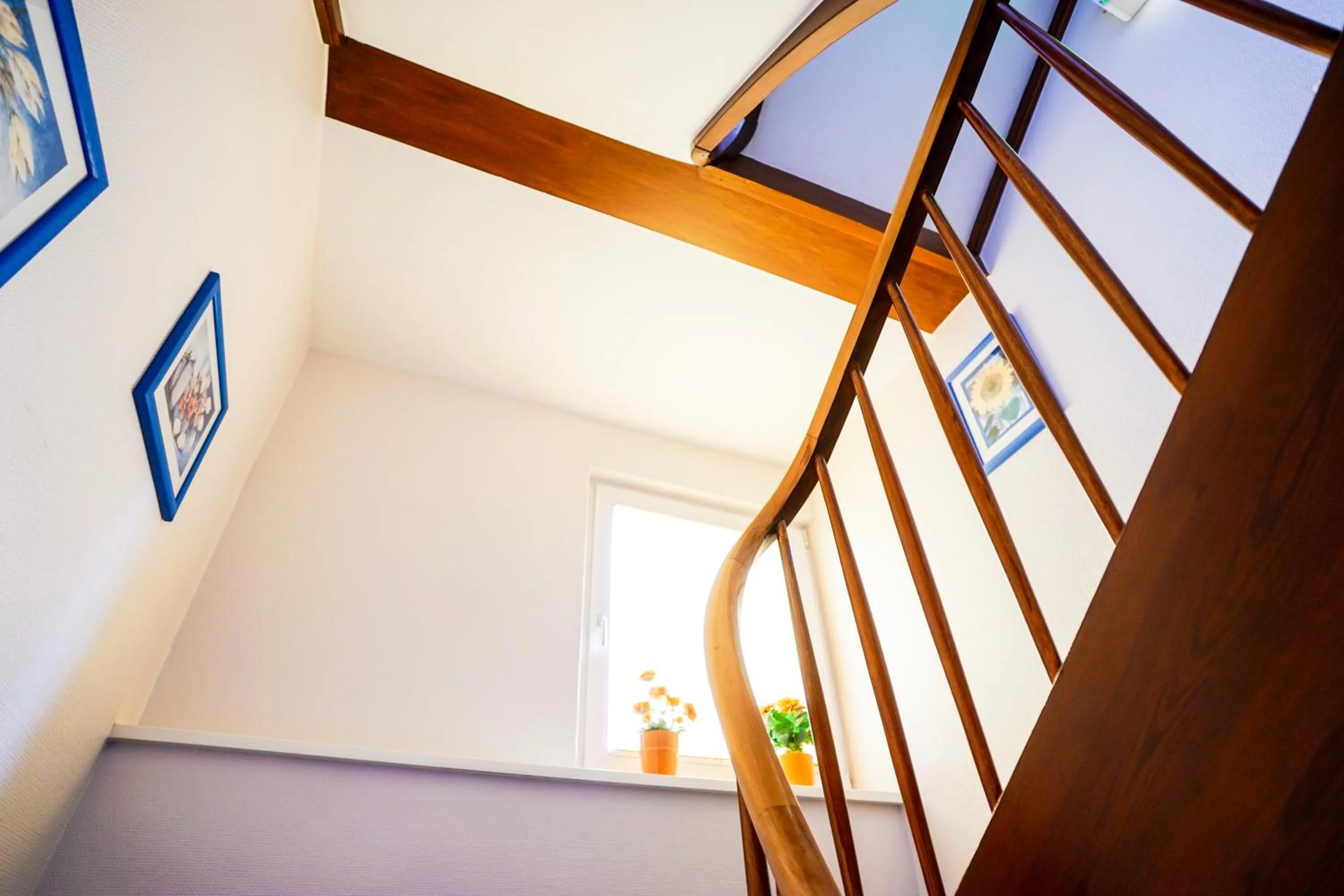 Property building in Hotel Sauer Garni