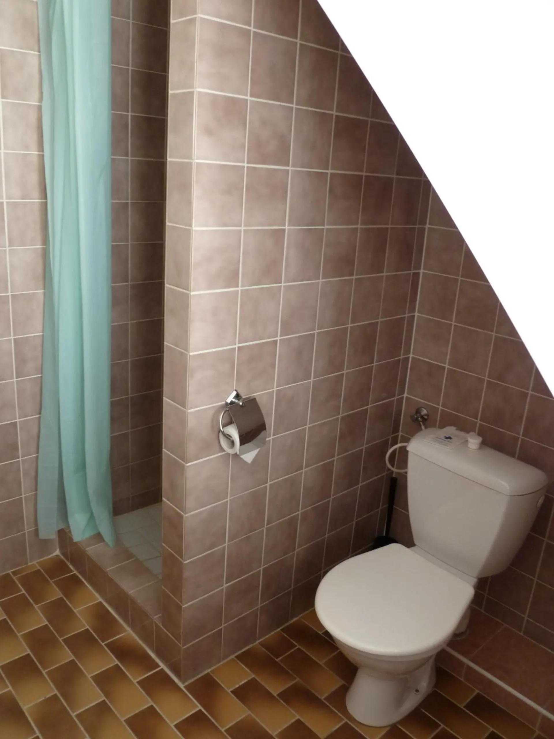 Toilet in Hotel U Apoštola