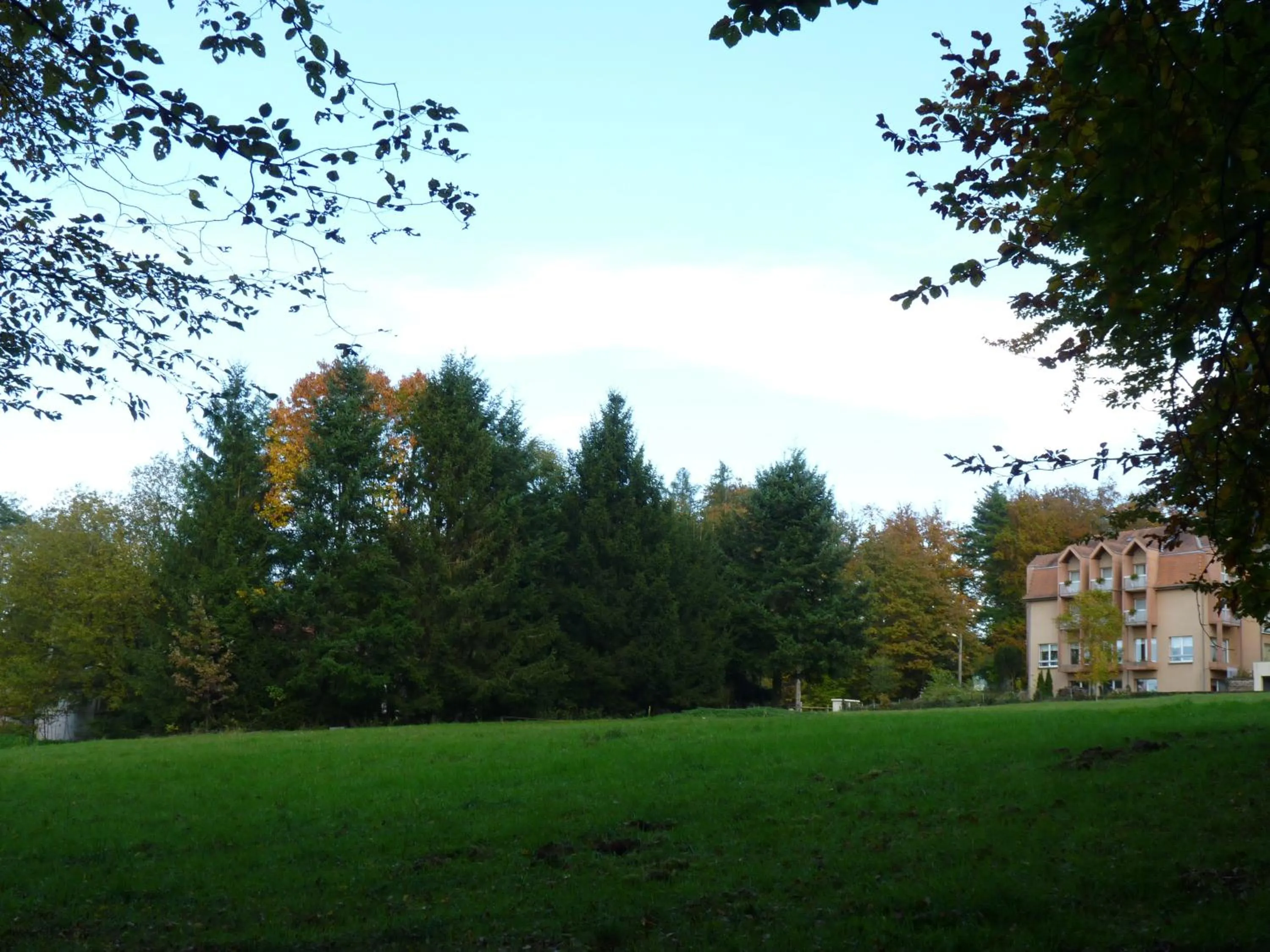 Garden in Logis Hôtel Notre-Dame - restaurant ouvert midi et soir sauf dimanche soir