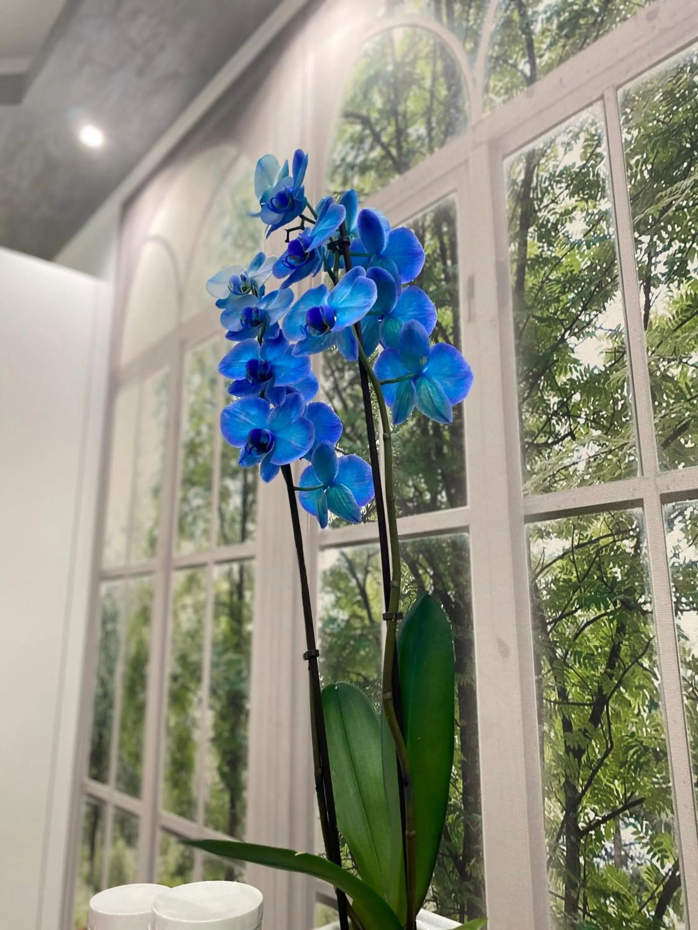 Communal lounge/ TV room in Olympic Suite Roma