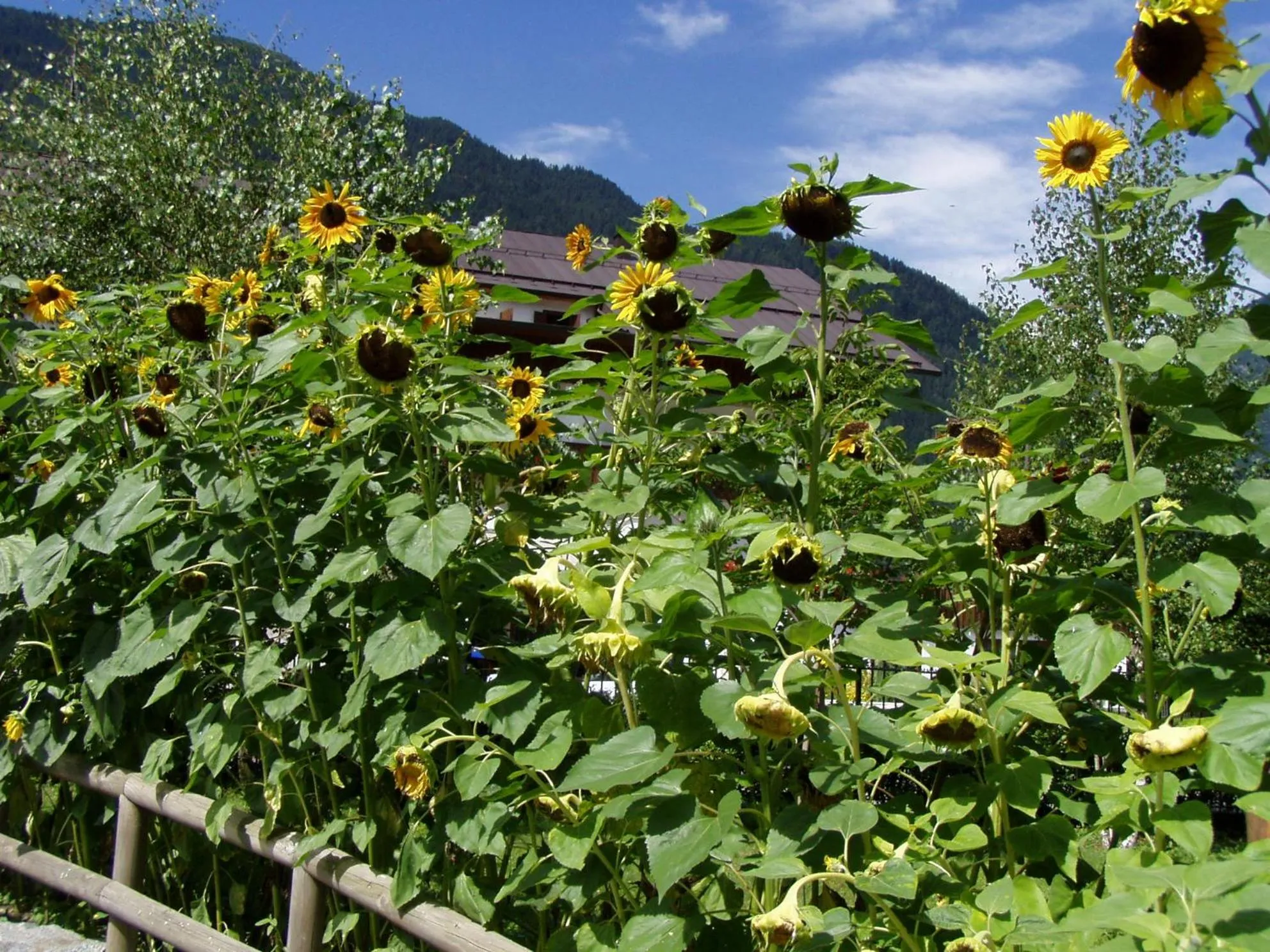 Decorative detail in HOTEL La Locanda