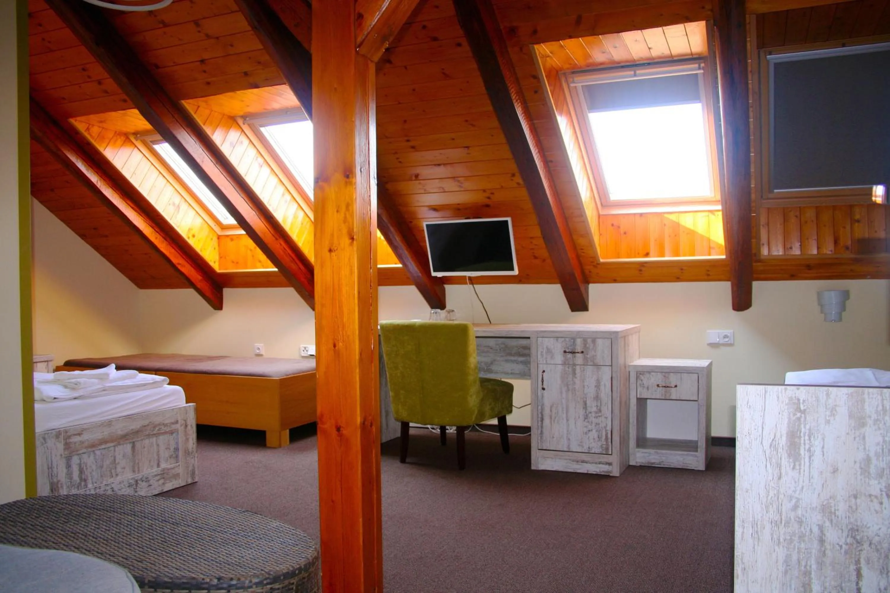 Deluxe Twin Room - single occupancy in Hotel Herman