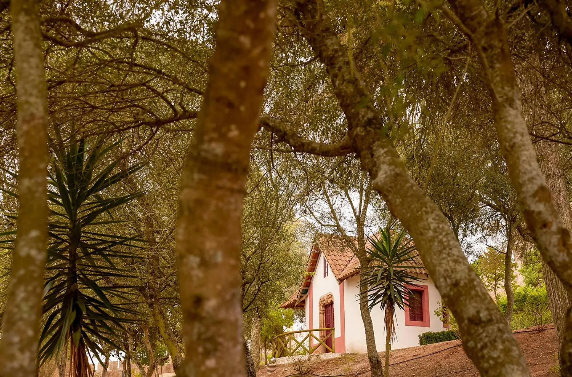Natural landscape in Santiago Hotel