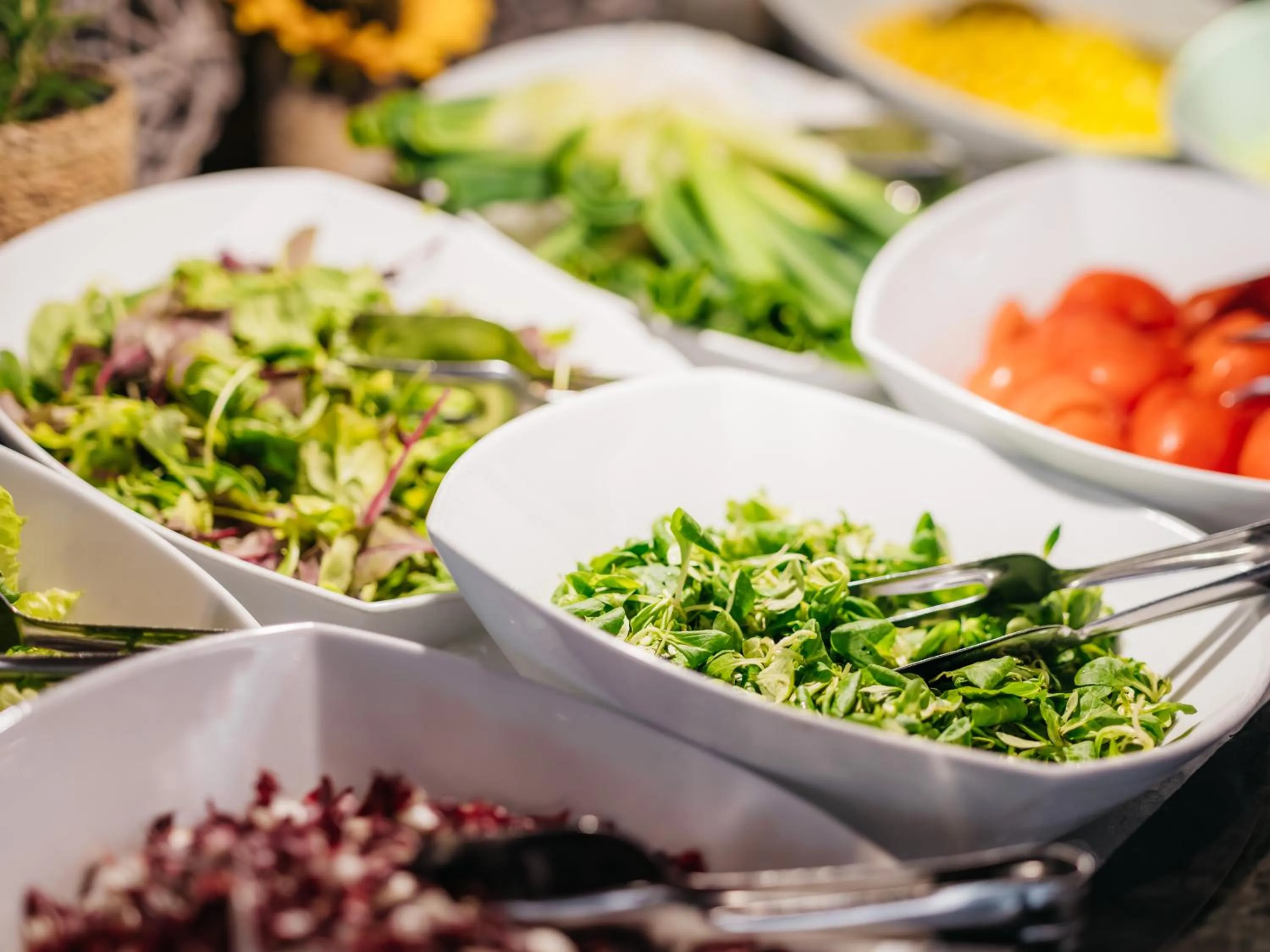 Dinner in Hotel Balnea Superior - Terme Krka