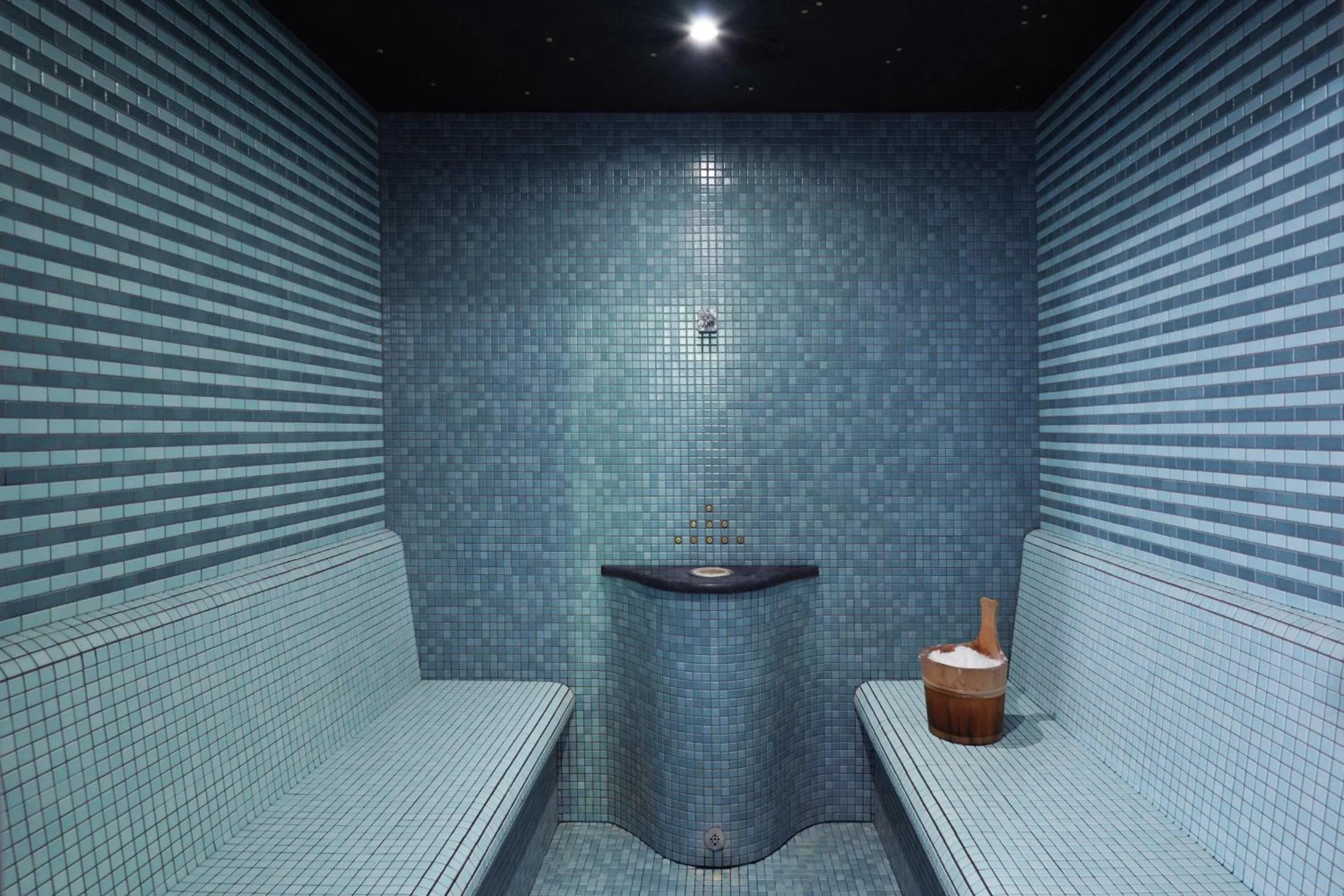 Spa and wellness centre/facilities in Hotel Balnea Superior - Terme Krka