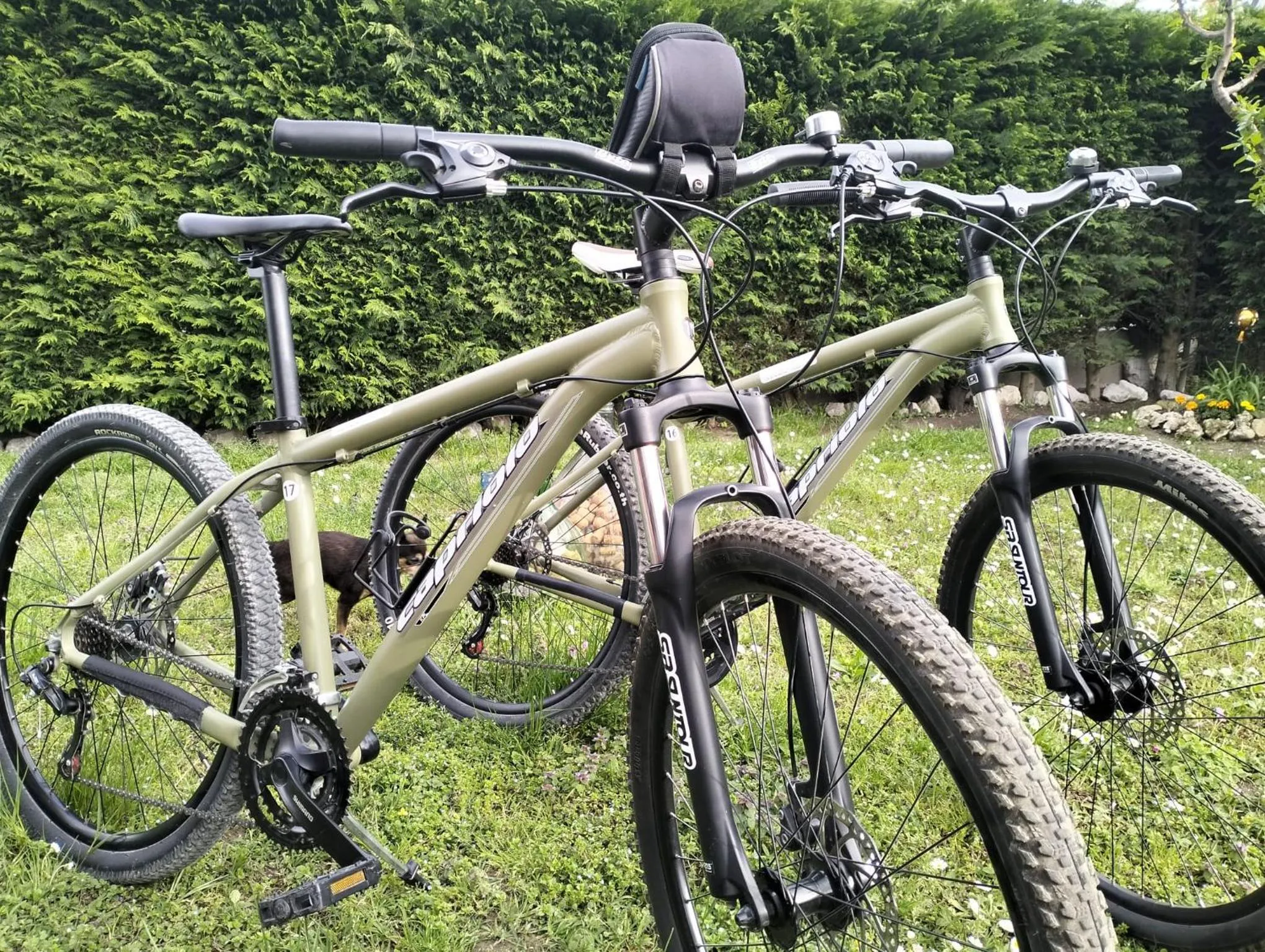 Day in Country House Campofiore