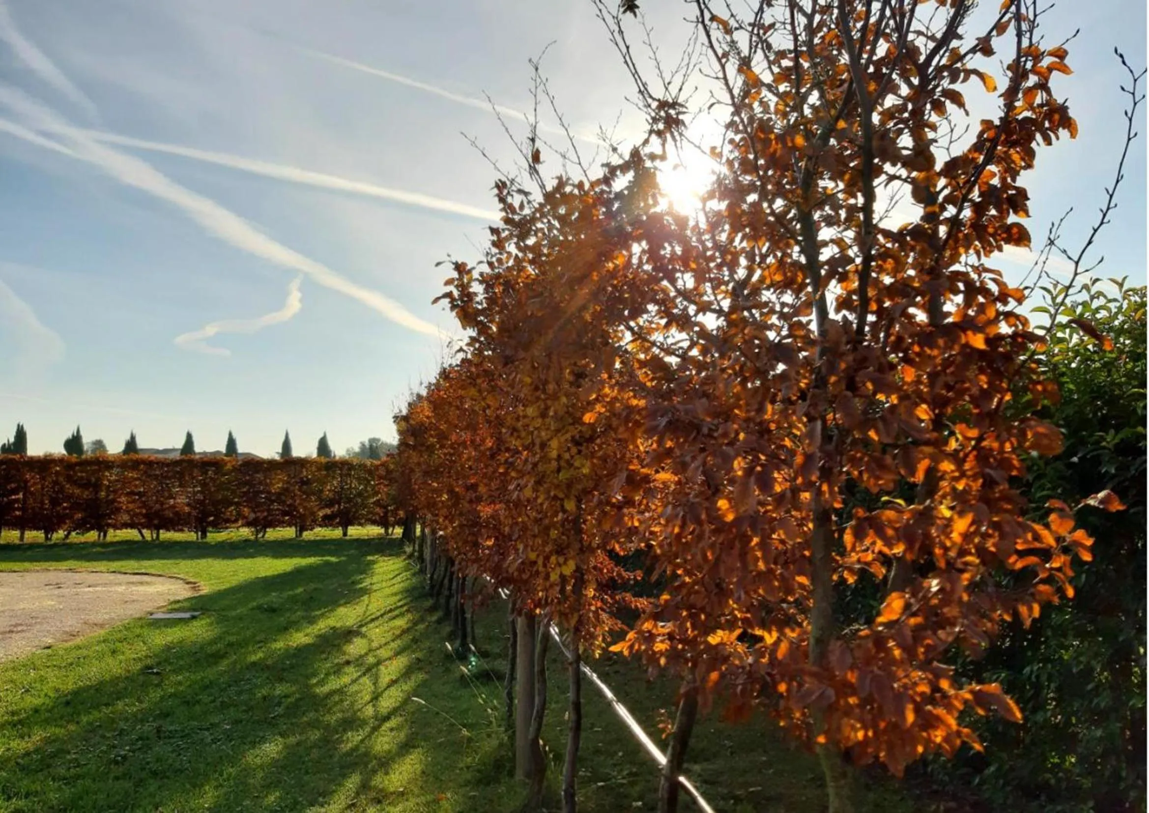 Day in Country House Campofiore