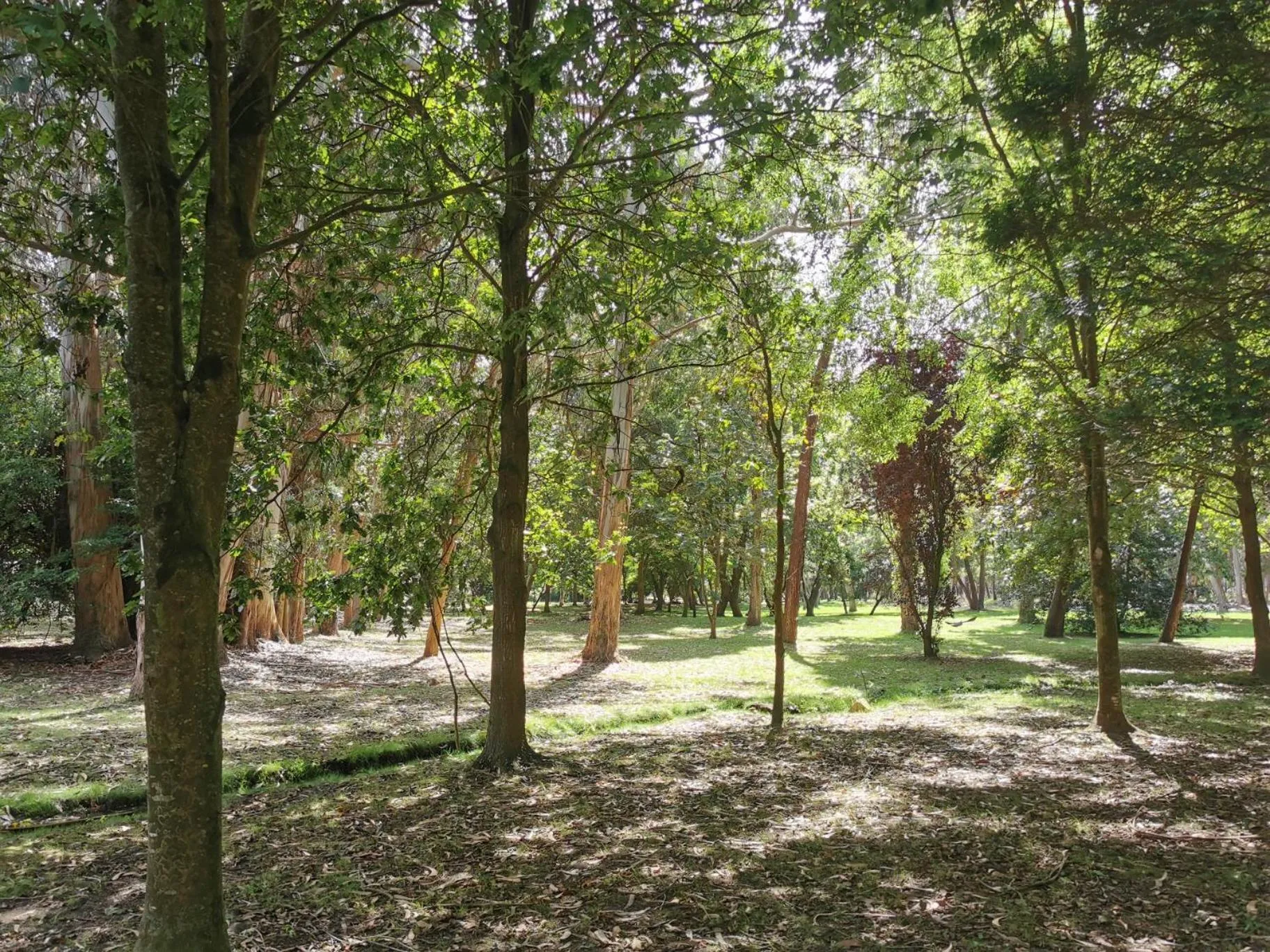 Beach in Hotel Arco Navia