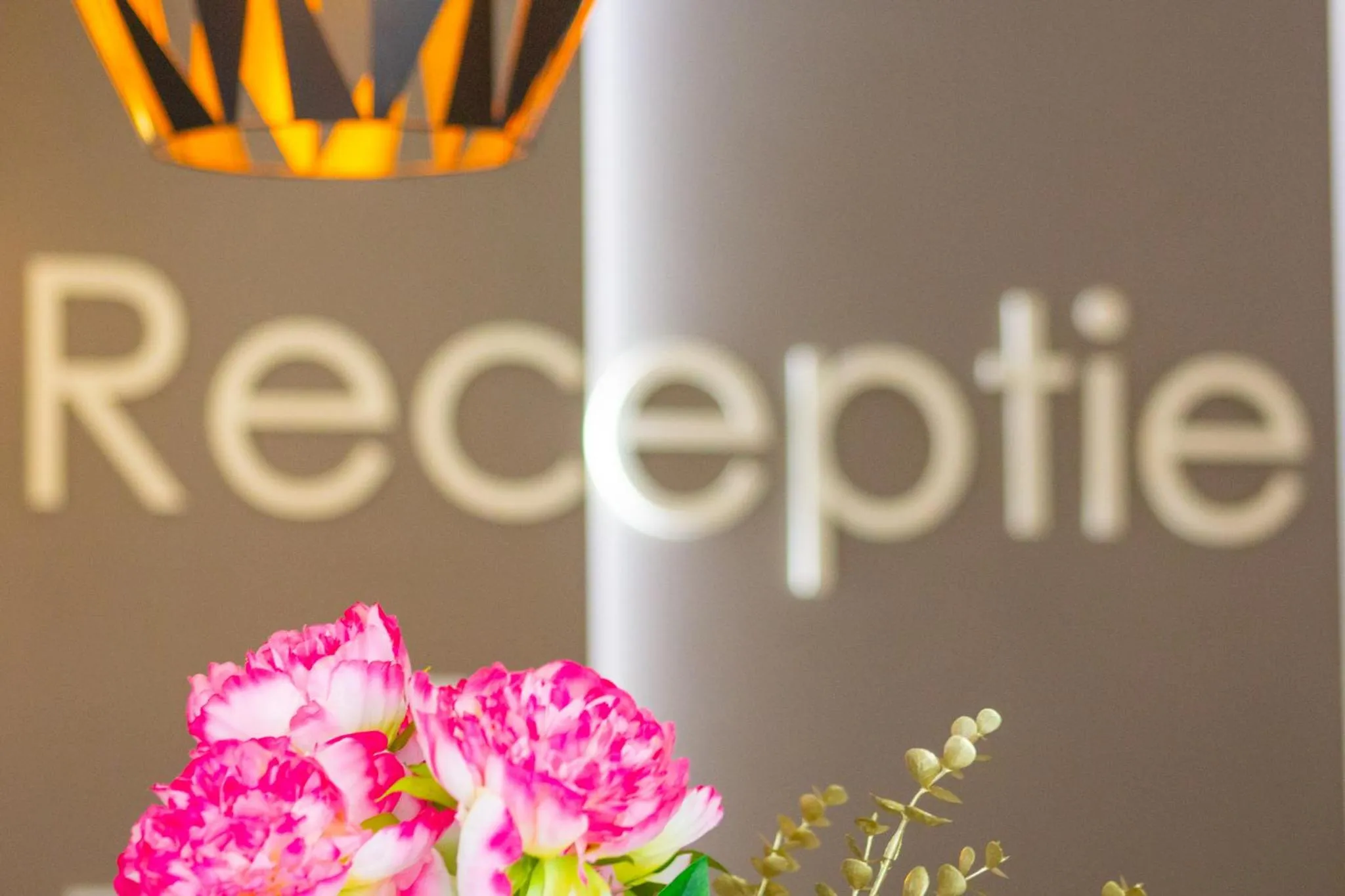 Lobby or reception in Casa Mureșan