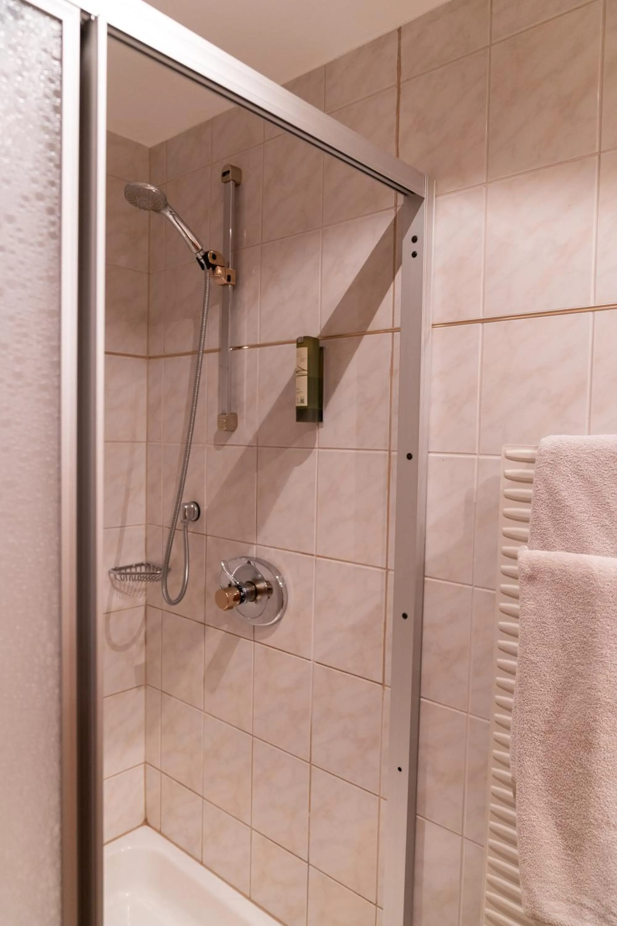 Shower in Wellnesshotel Mein Almhof Superior