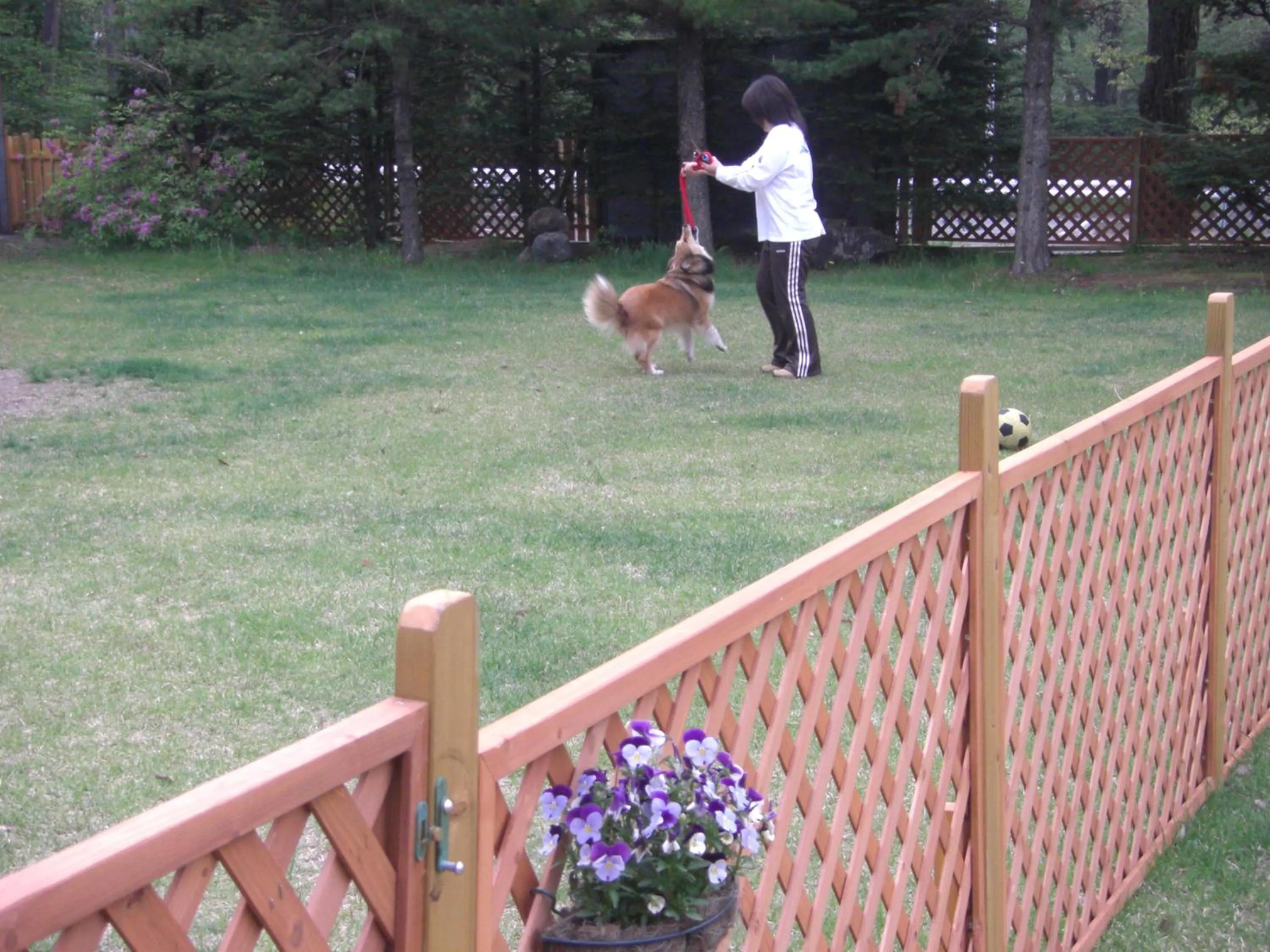 Pets in Pension Eden