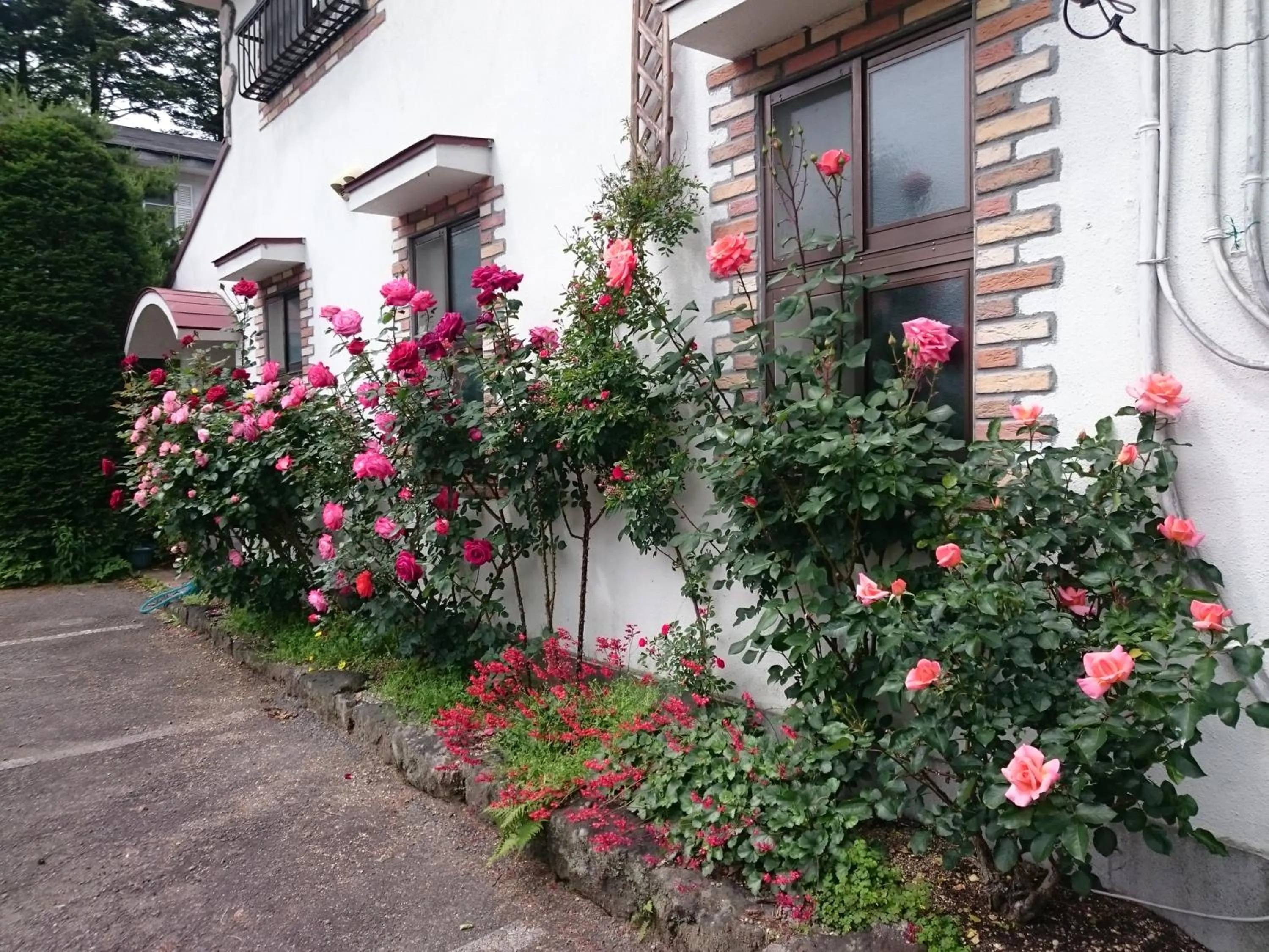 Property building in Pension Eden