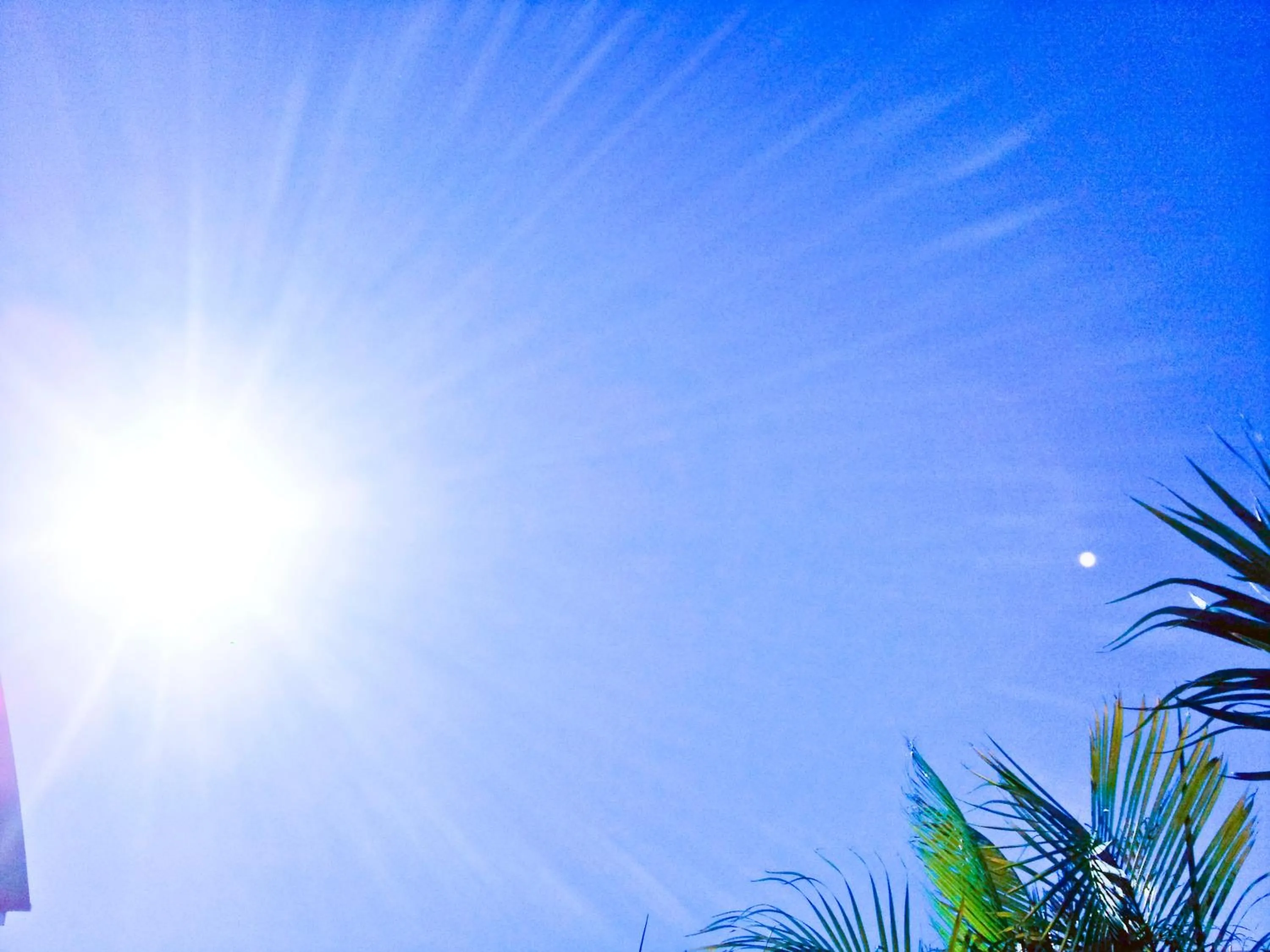 Day in Beach Resort Apartment