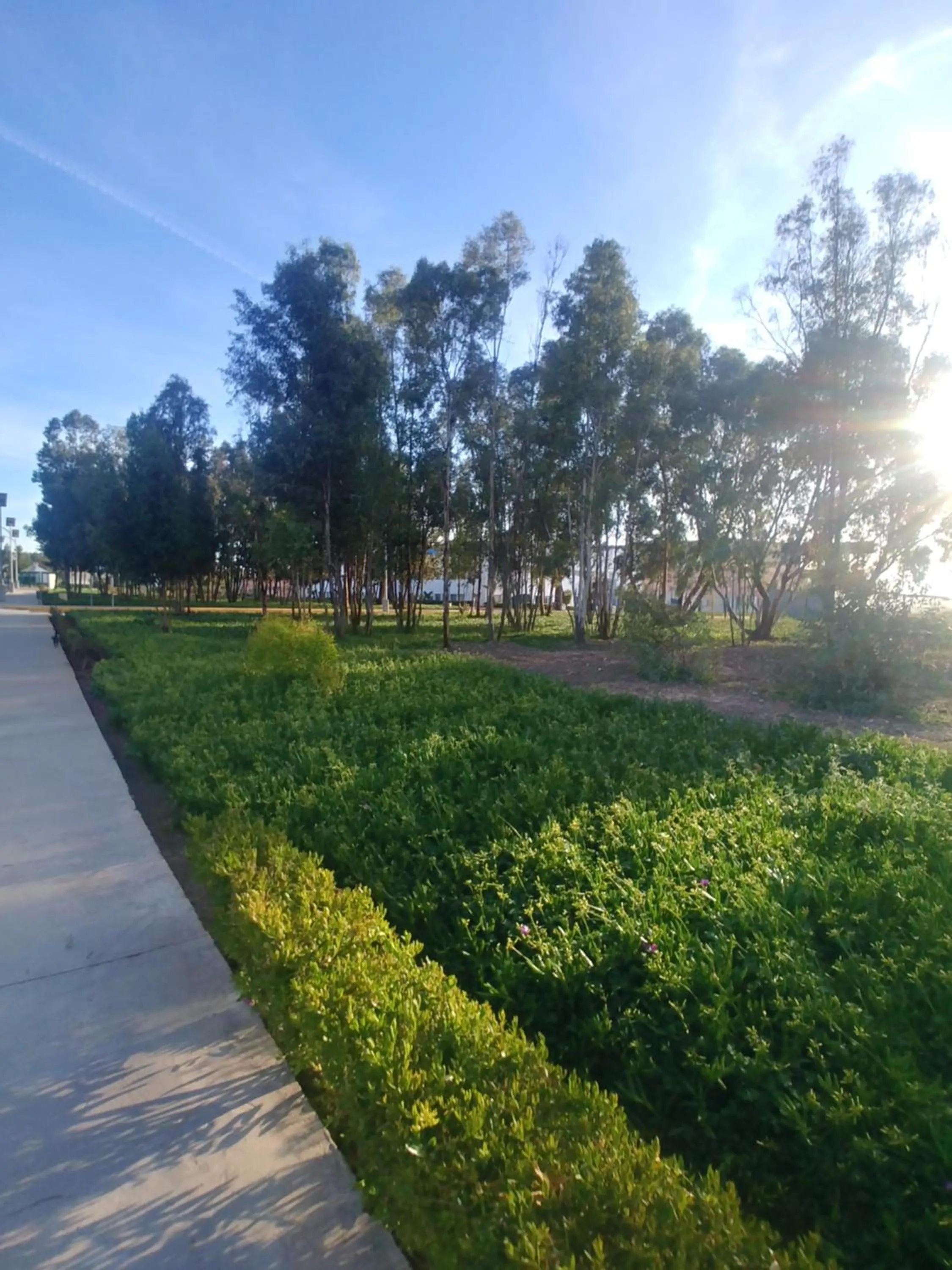 Natural landscape in Mohammed V Airport HOME