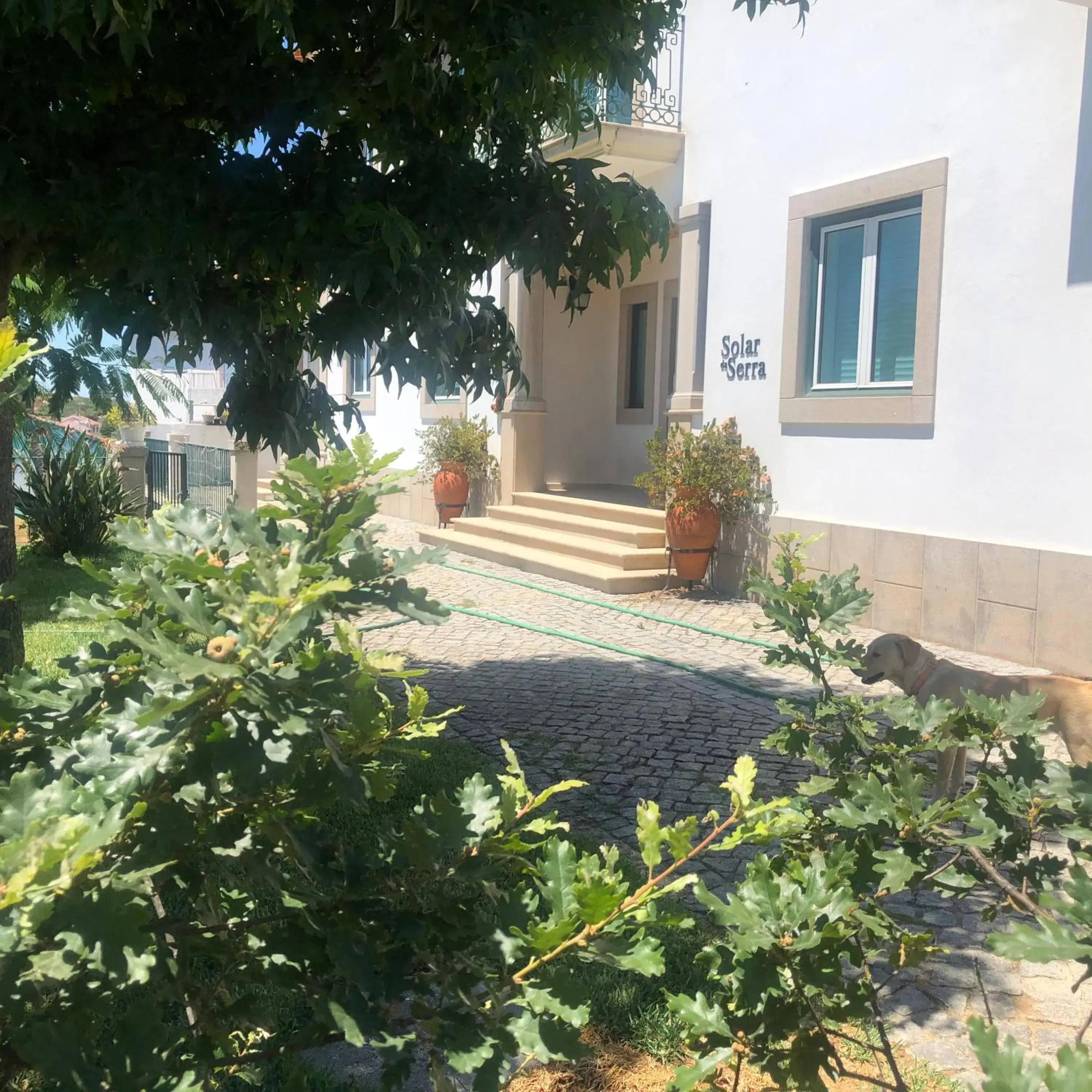 Two-Bedroom Chalet in SOLAR DA SERRA-GuestHouse Two-Bedroom Chalet in SOLAR DA SERRA-GuestHouse