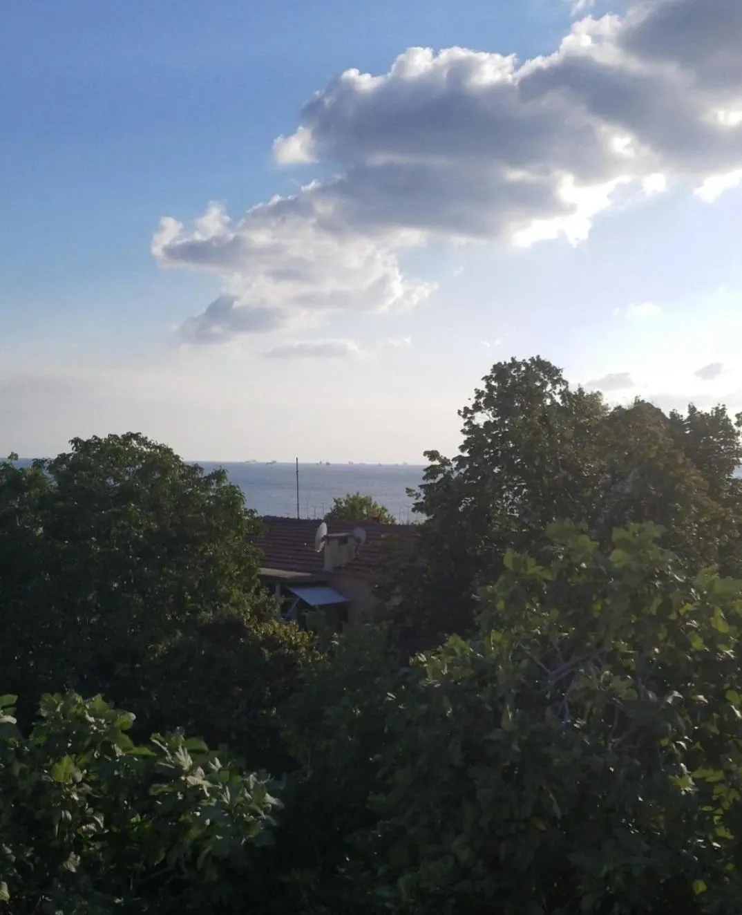 Natural landscape in Yasin Apart hotel