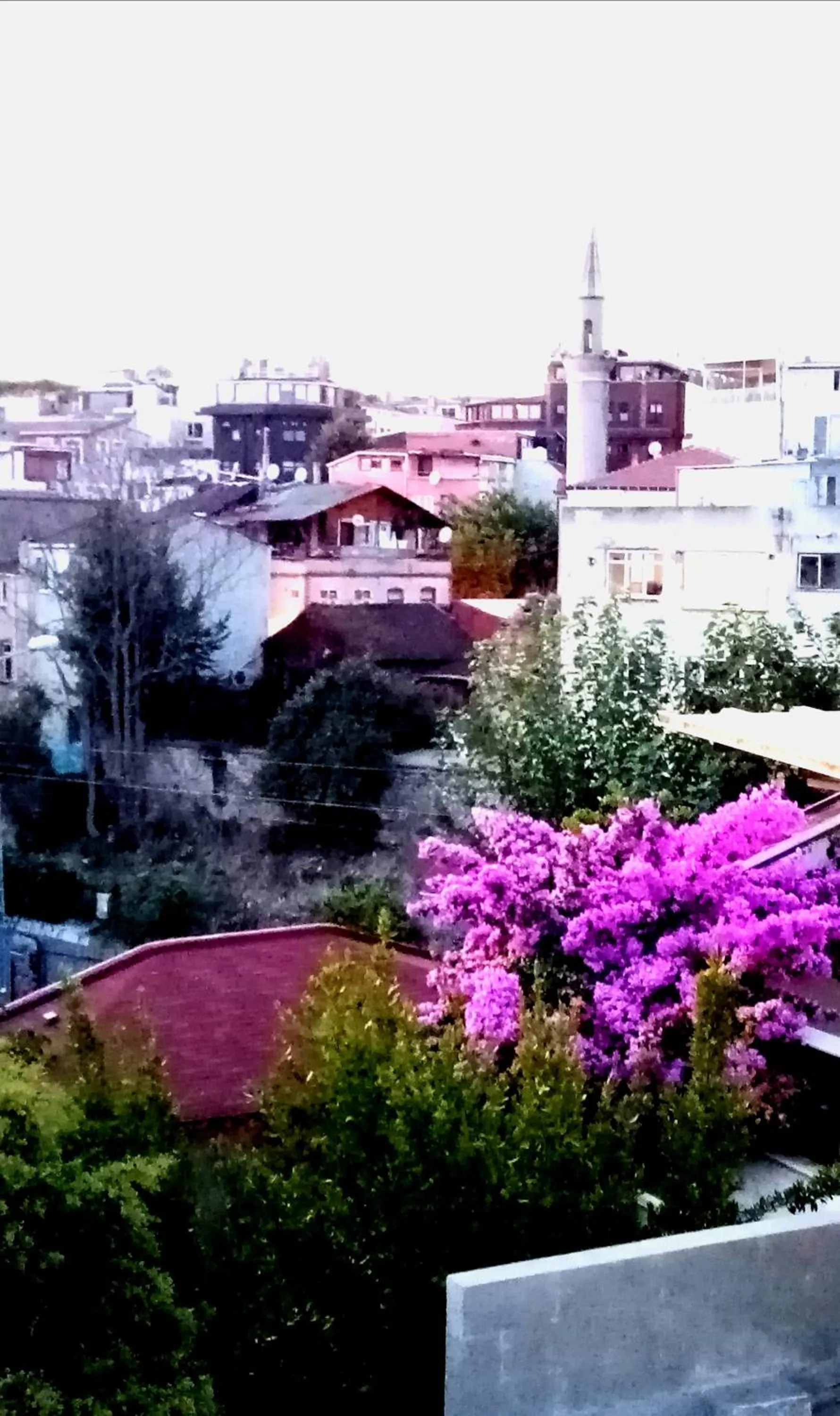 Neighbourhood in Yasin Apart hotel