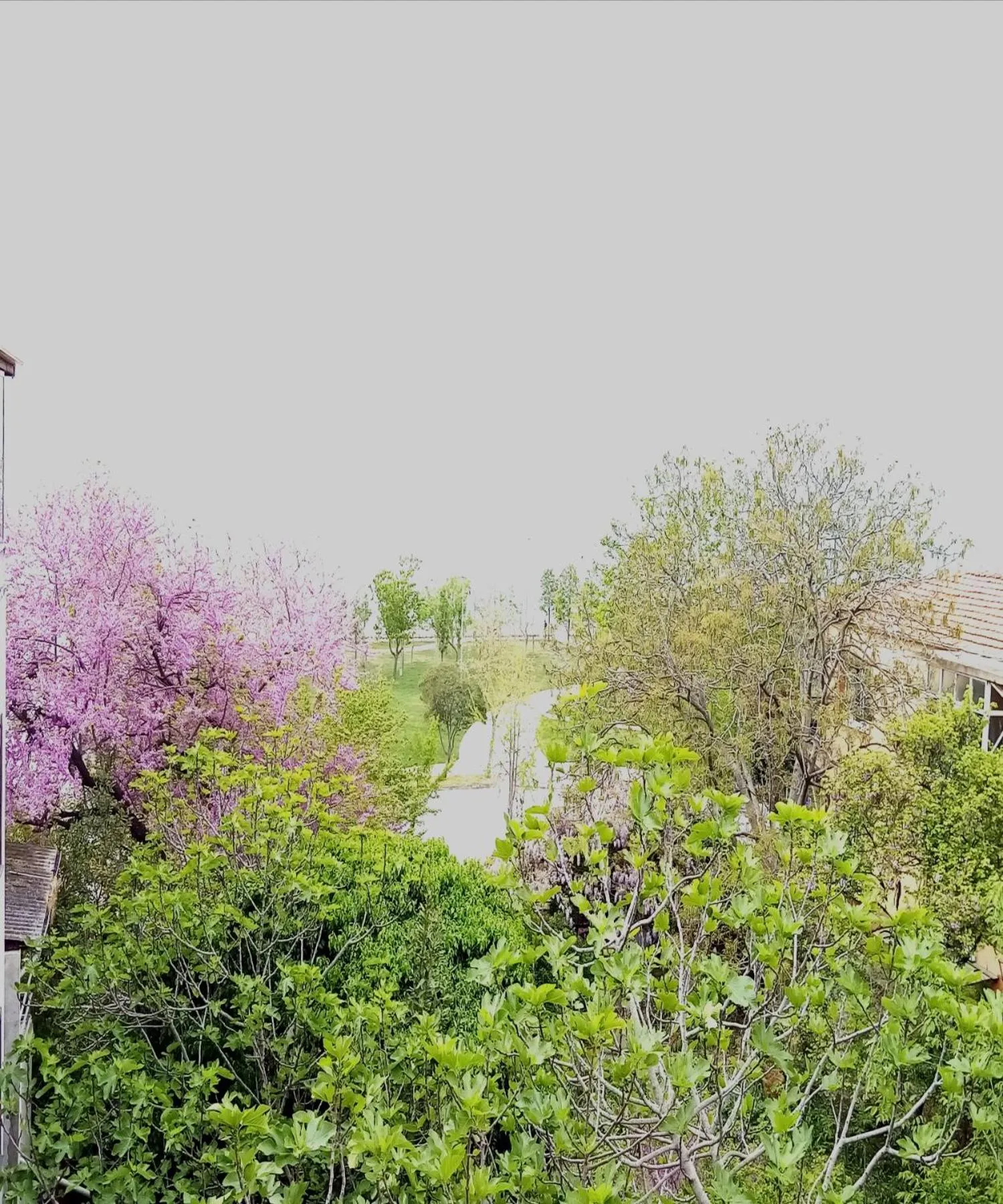 Natural landscape in Yasin Apart hotel