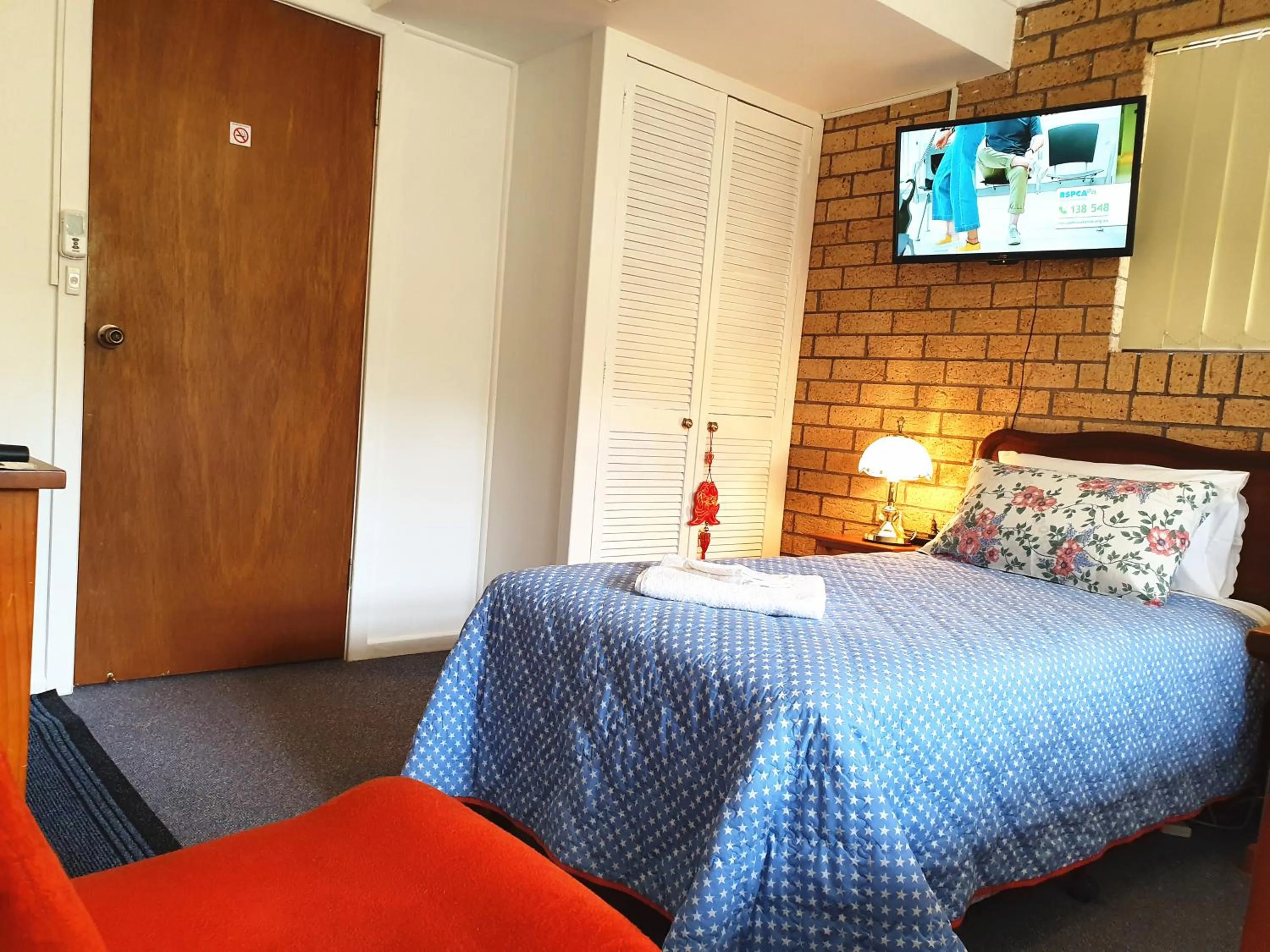 Bed in Gowrie Agapanthus