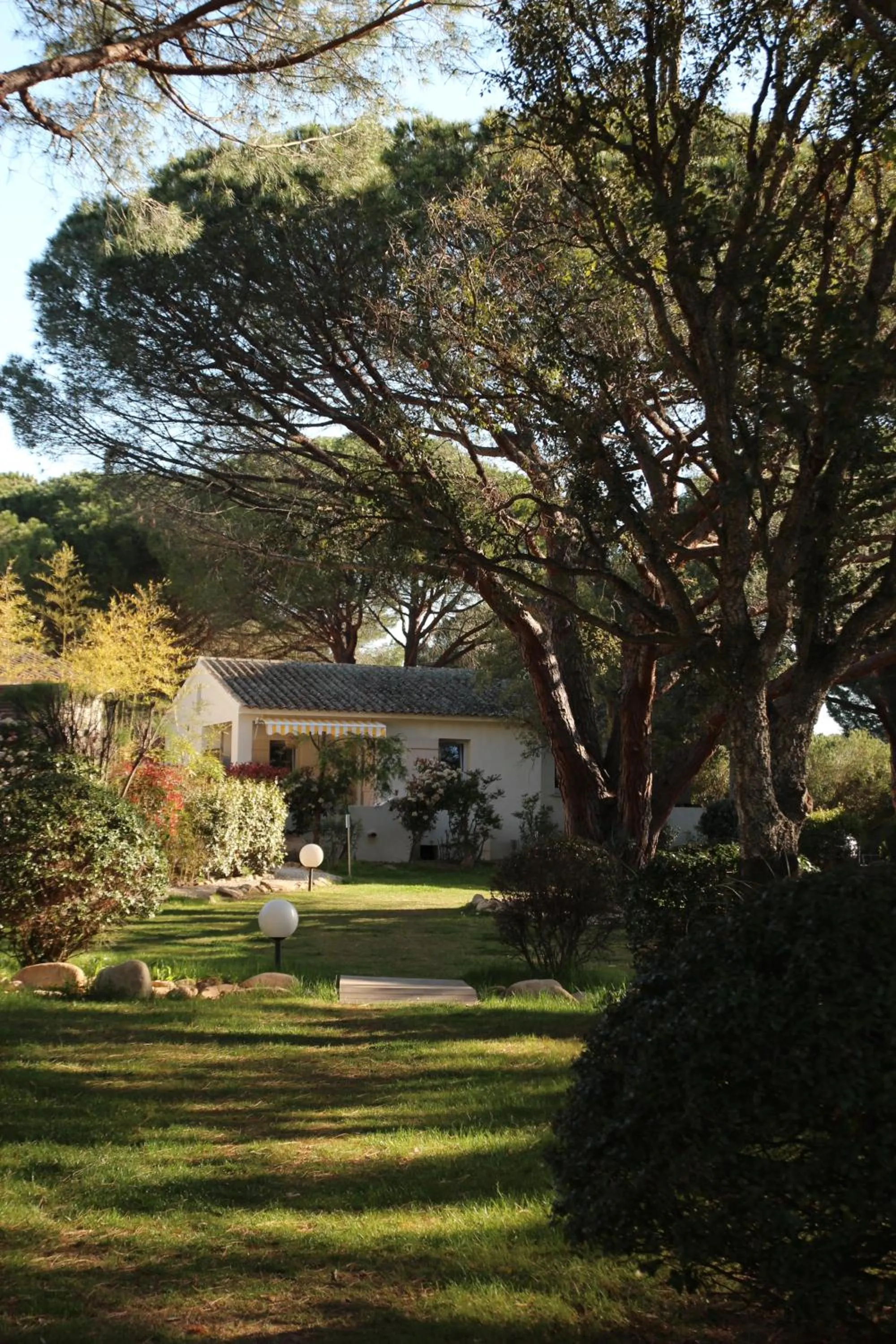 Garden in Les Pins de Santa Giulia