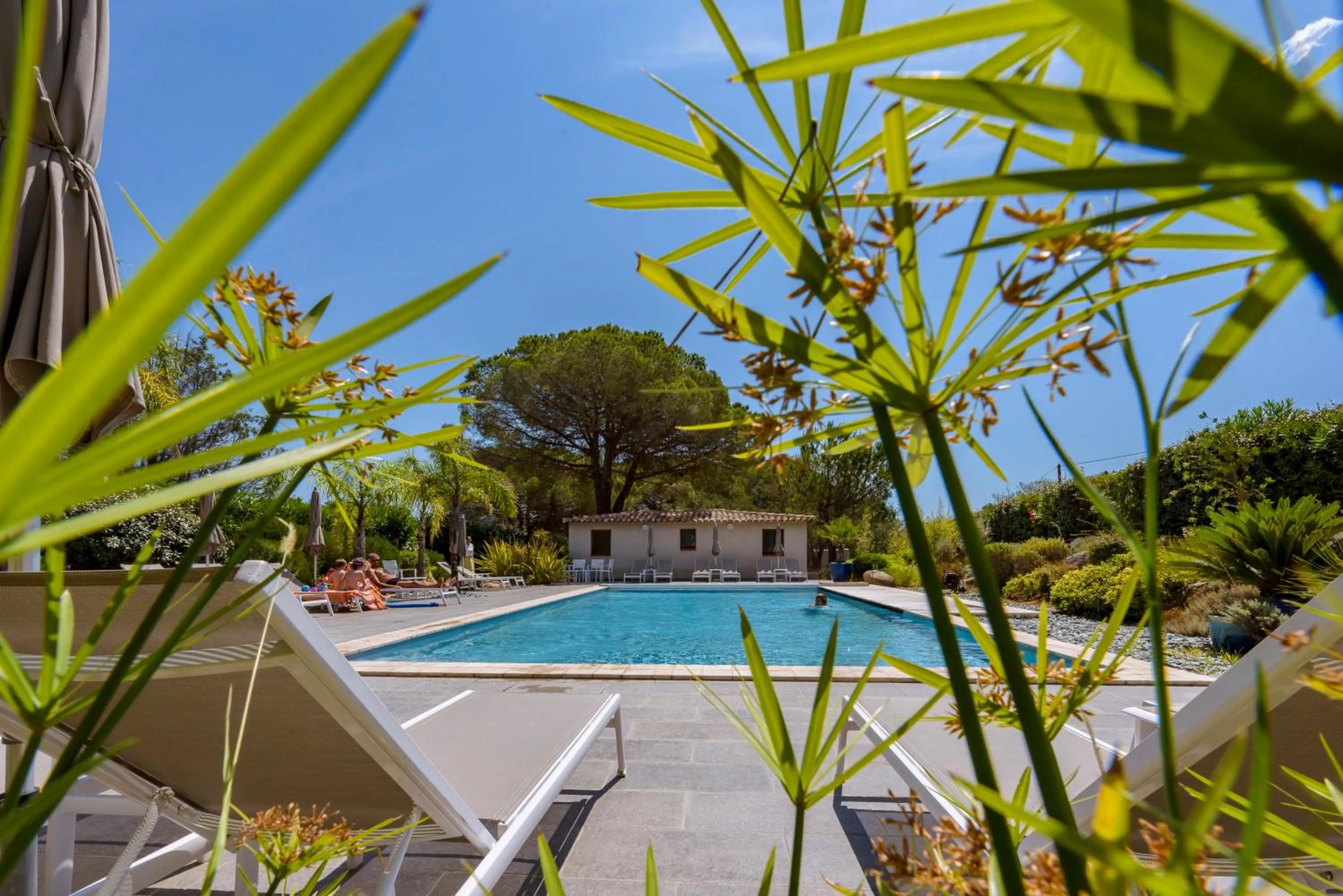Pool view in Les Pins de Santa Giulia
