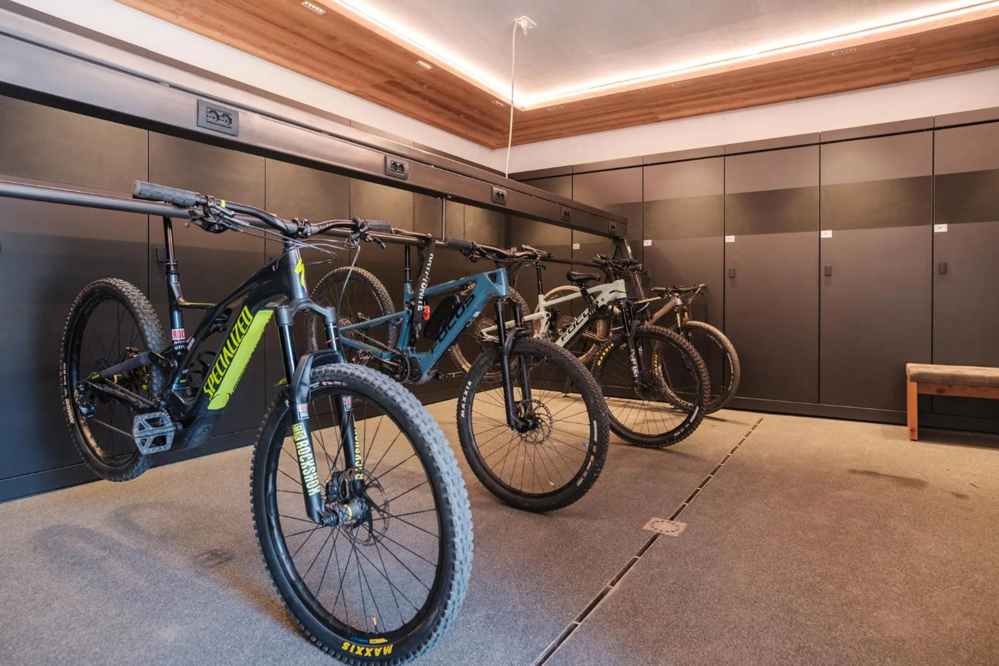 Cycling in Residence Viola