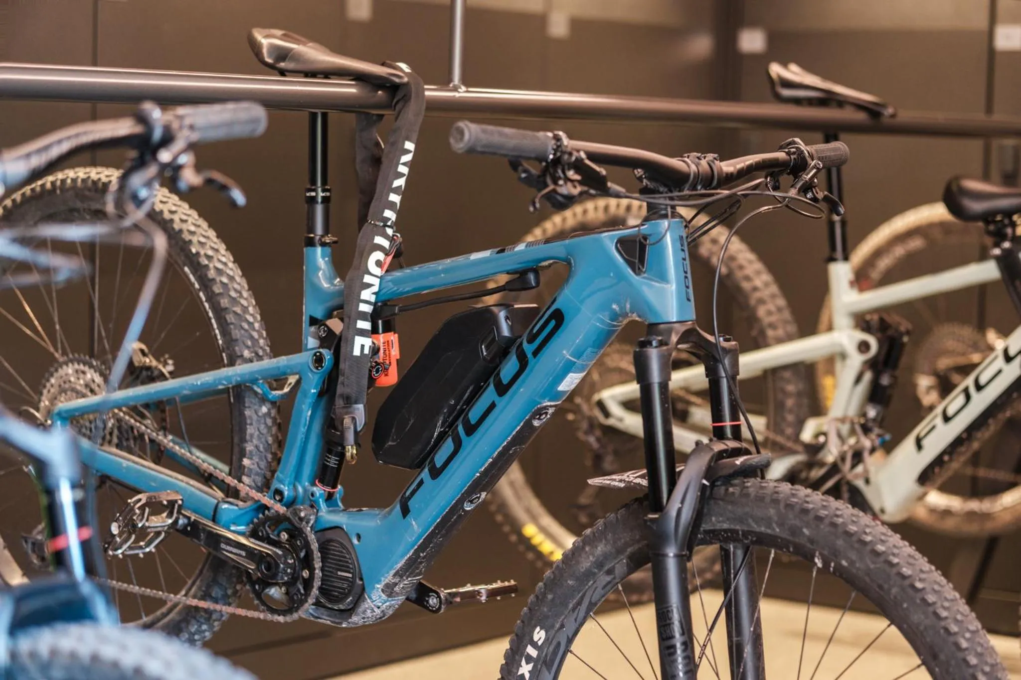 Cycling in Residence Viola