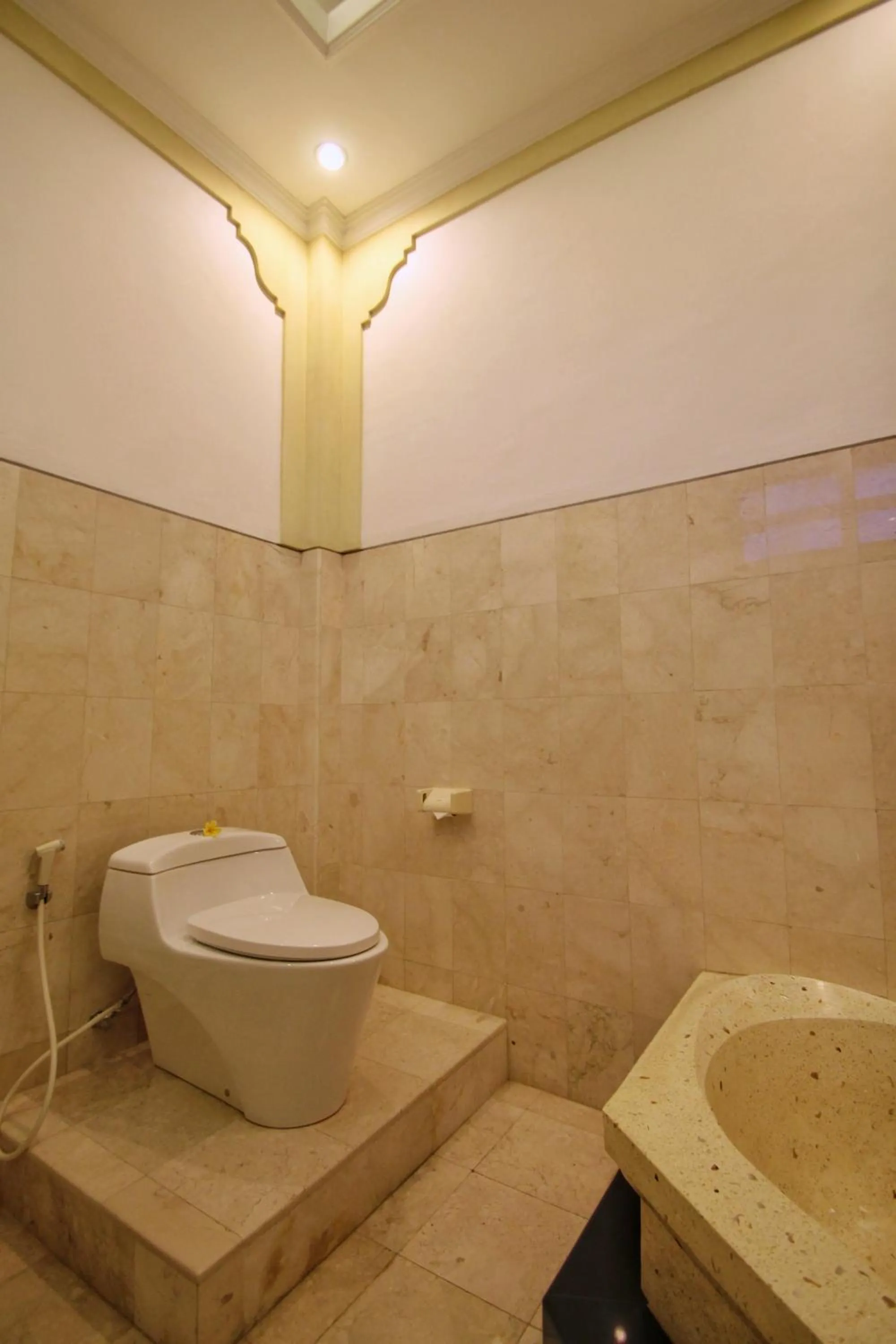 Toilet in Hibiscus Cottages