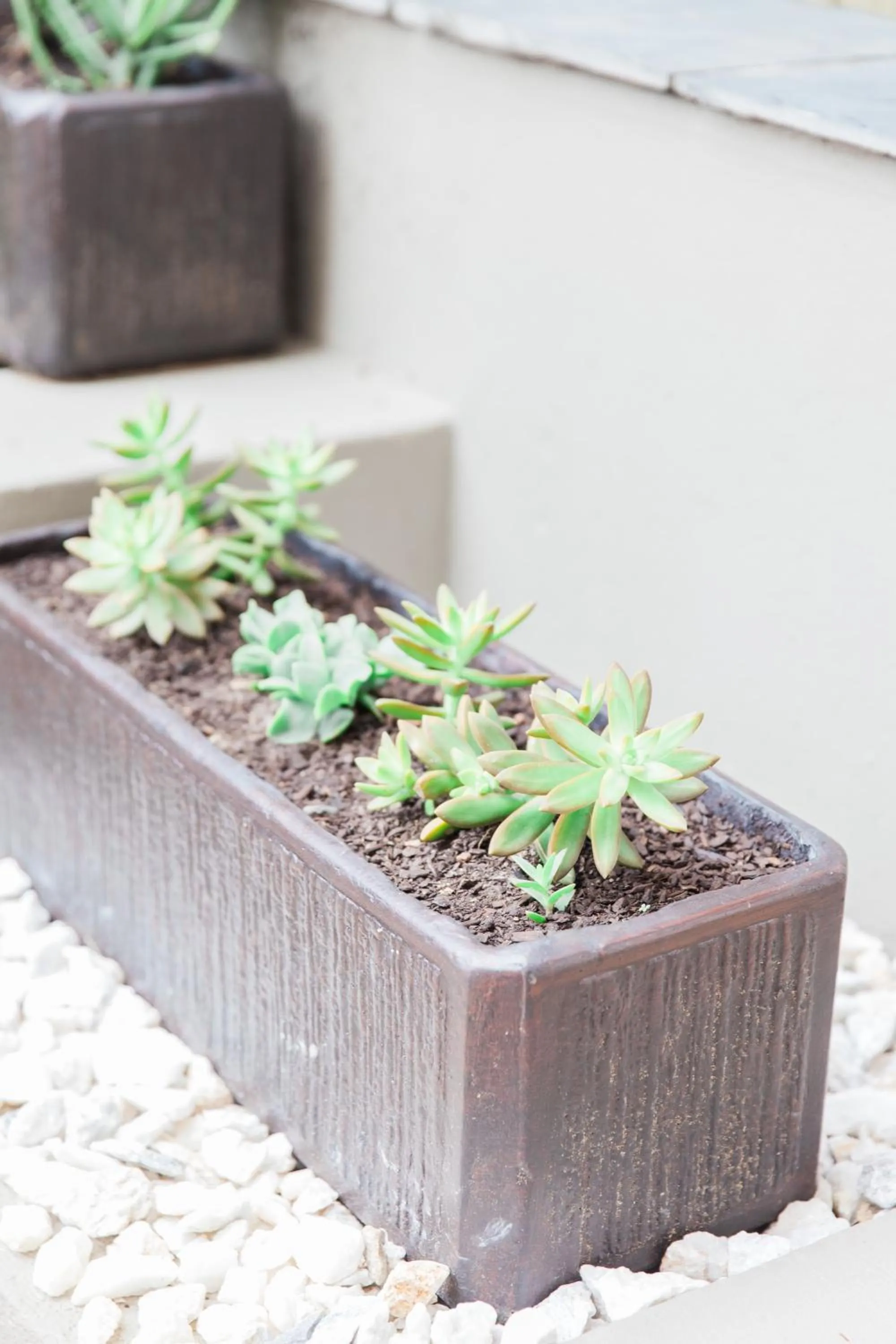 Garden in Umthunzi Hotel and Conference
