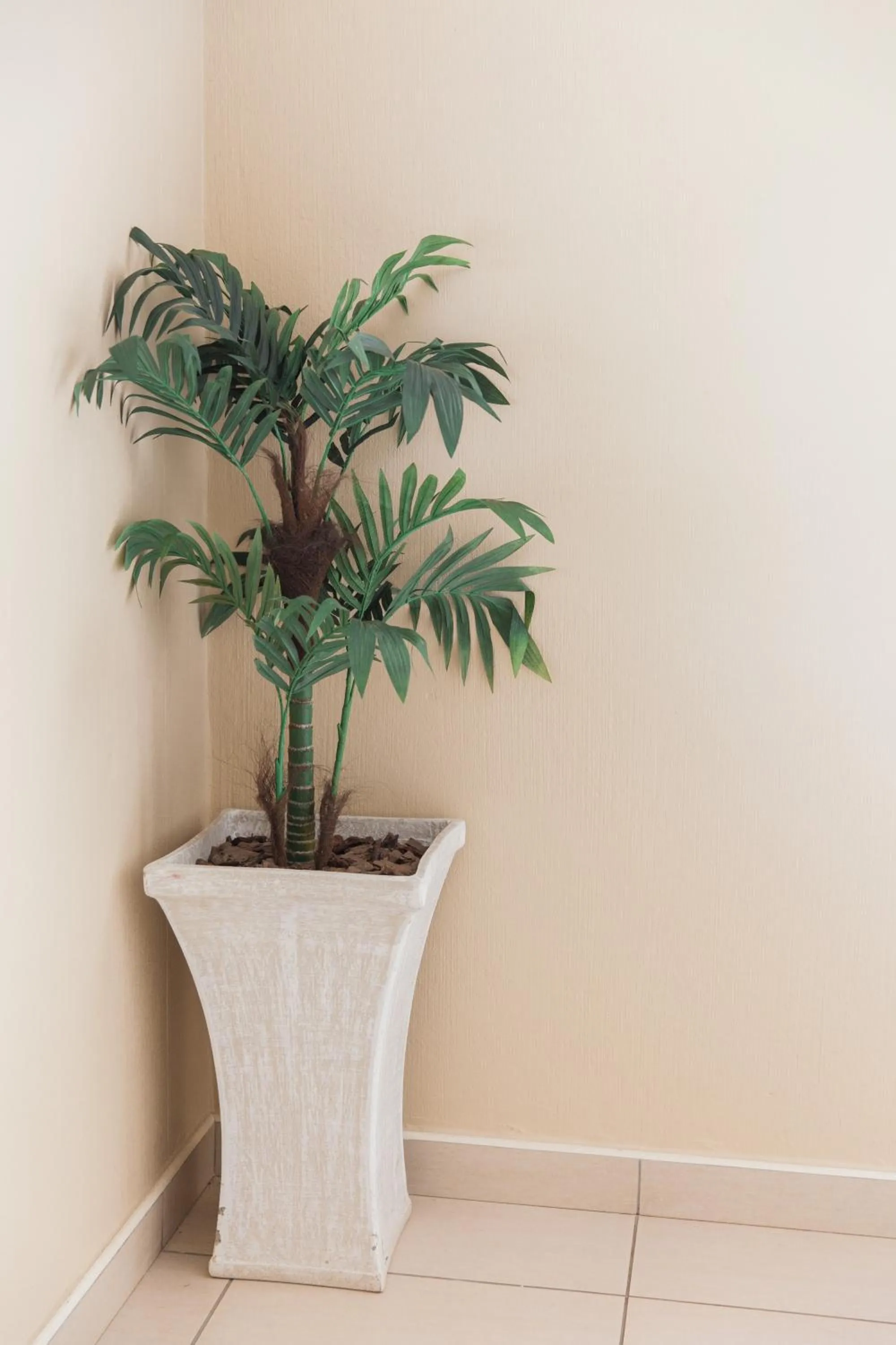 Area and facilities in Umthunzi Hotel and Conference