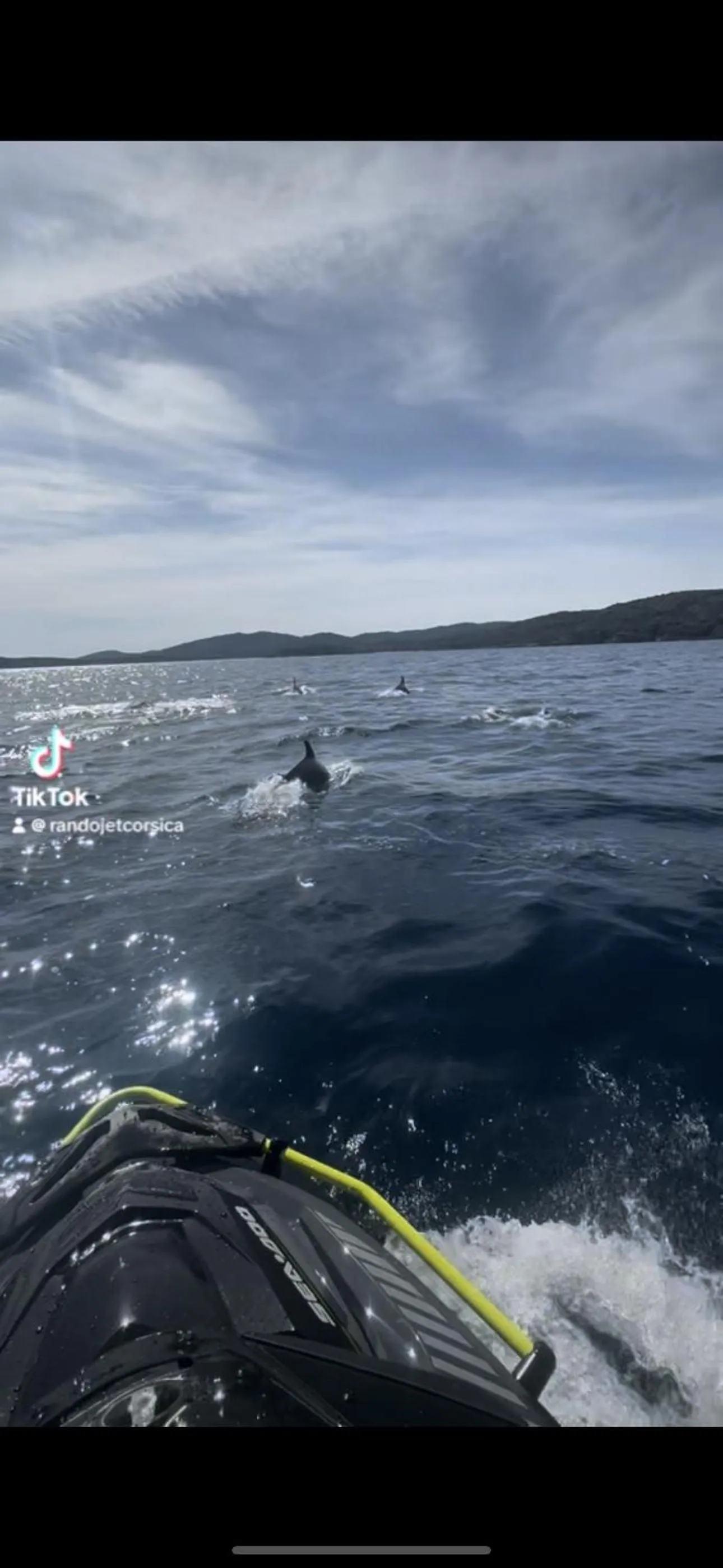 Activities in Chambres d'Hôtes Terra Bella Lecci