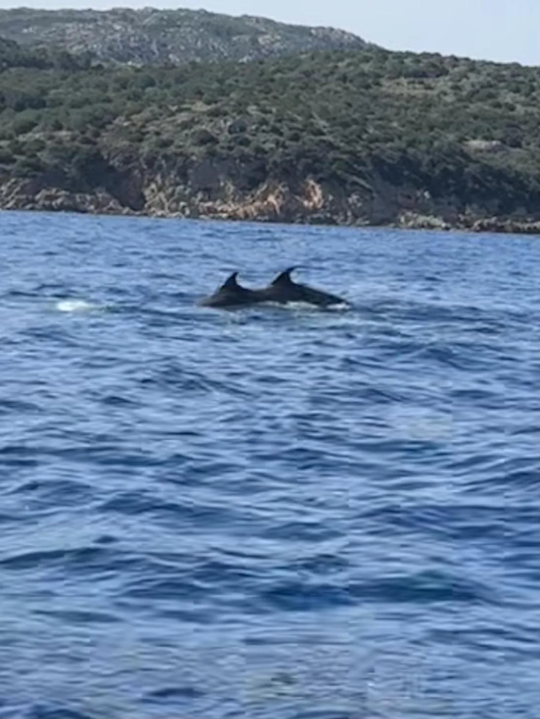 Beach in Chambres d'Hôtes Terra Bella Lecci