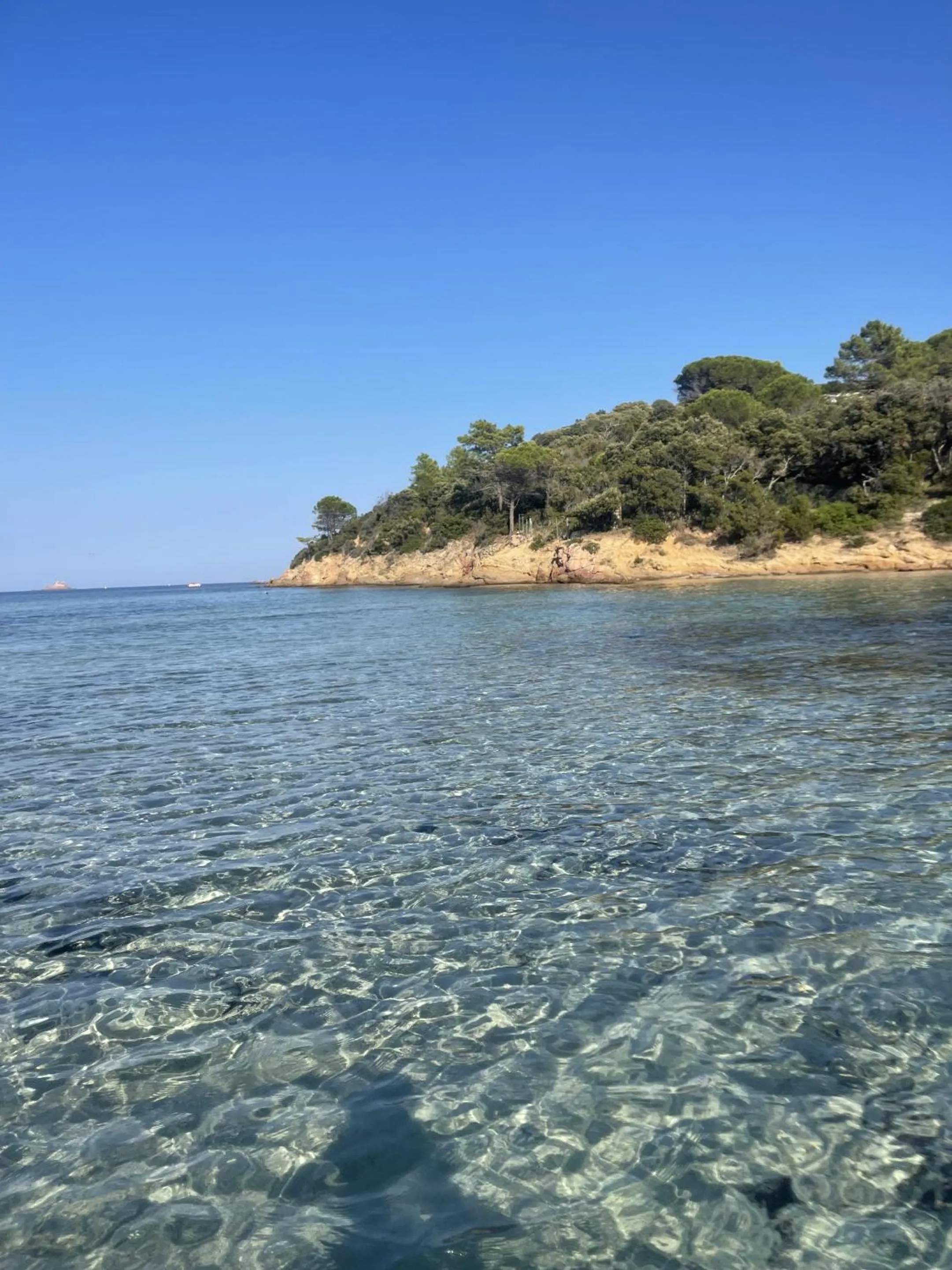 Beach in Chambres d'Hôtes Terra Bella Lecci