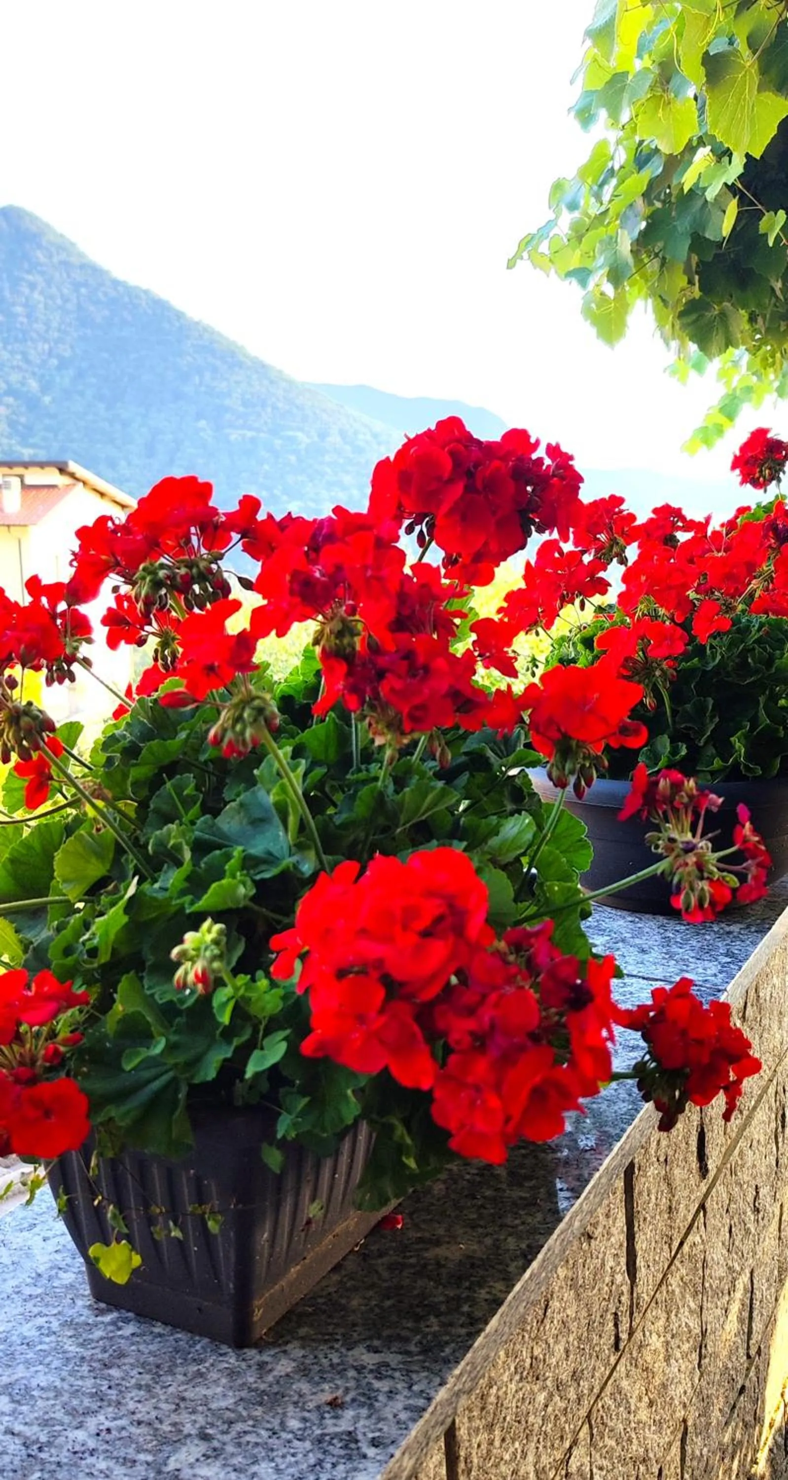 Restaurant/places to eat in Ristorante Bellavista con Locanda