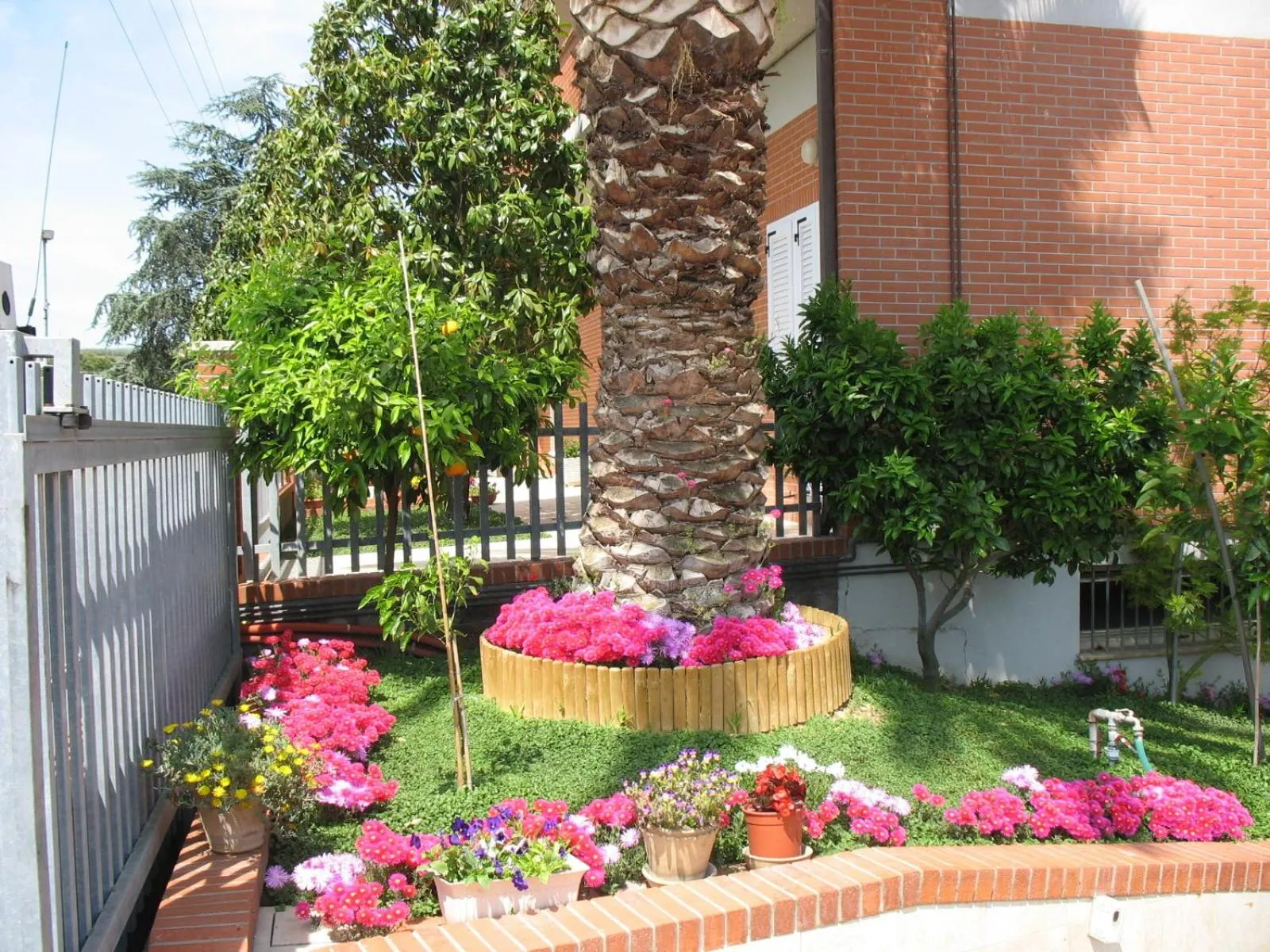 Garden view in Bed & Breakfast Bompadre