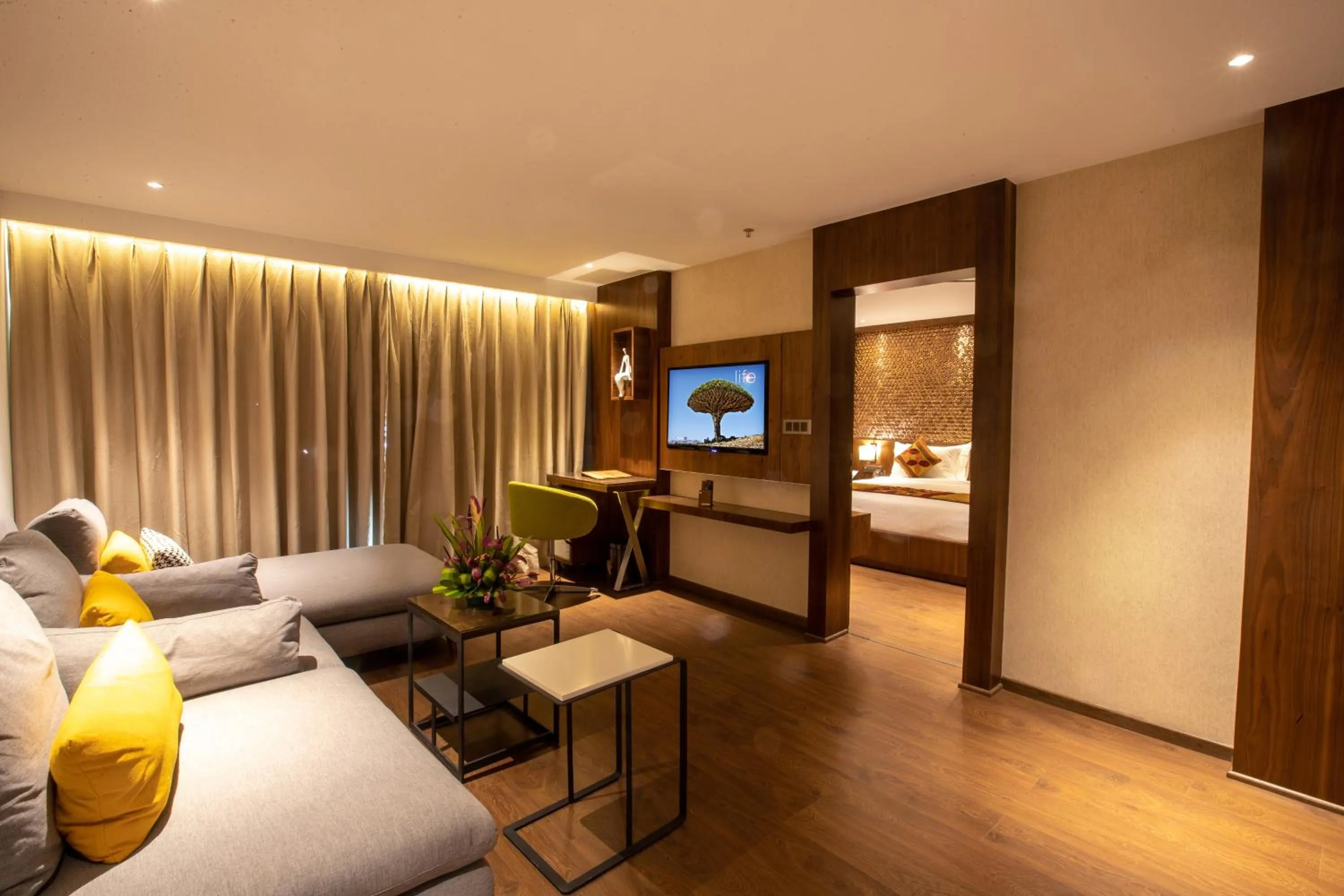 TV and multimedia in Hotel Span International