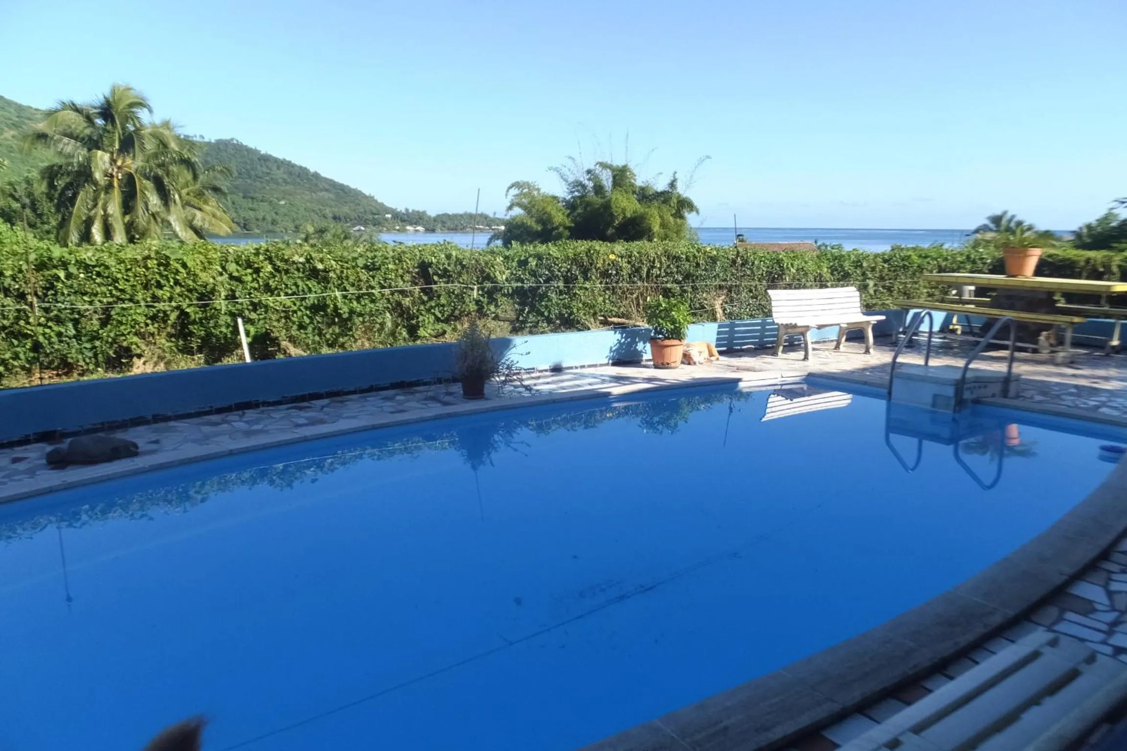 Pool view in Villa Vaiana EURL Vaiana Faratea