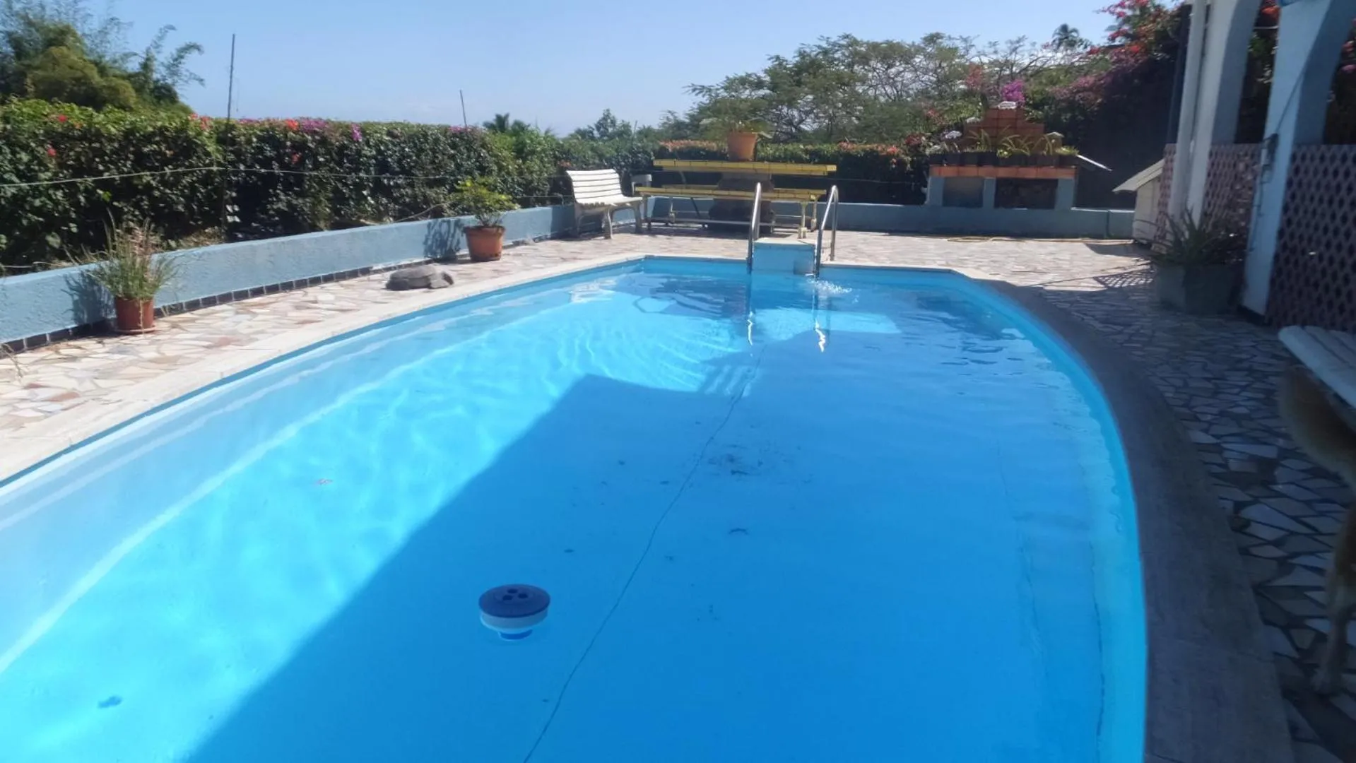 Swimming pool in Villa Vaiana EURL Vaiana Faratea