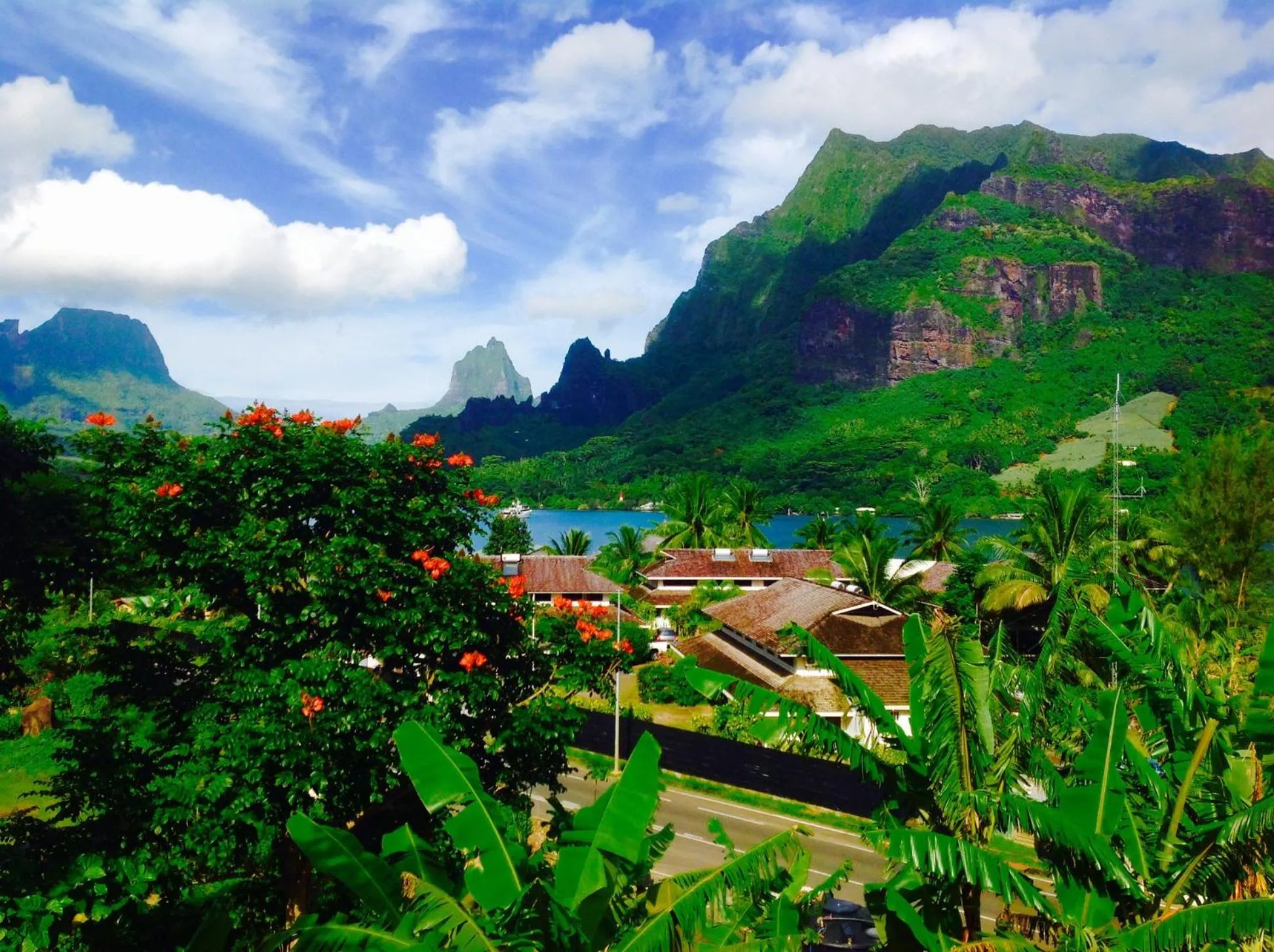 Natural landscape in Villa Vaiana EURL Vaiana Faratea