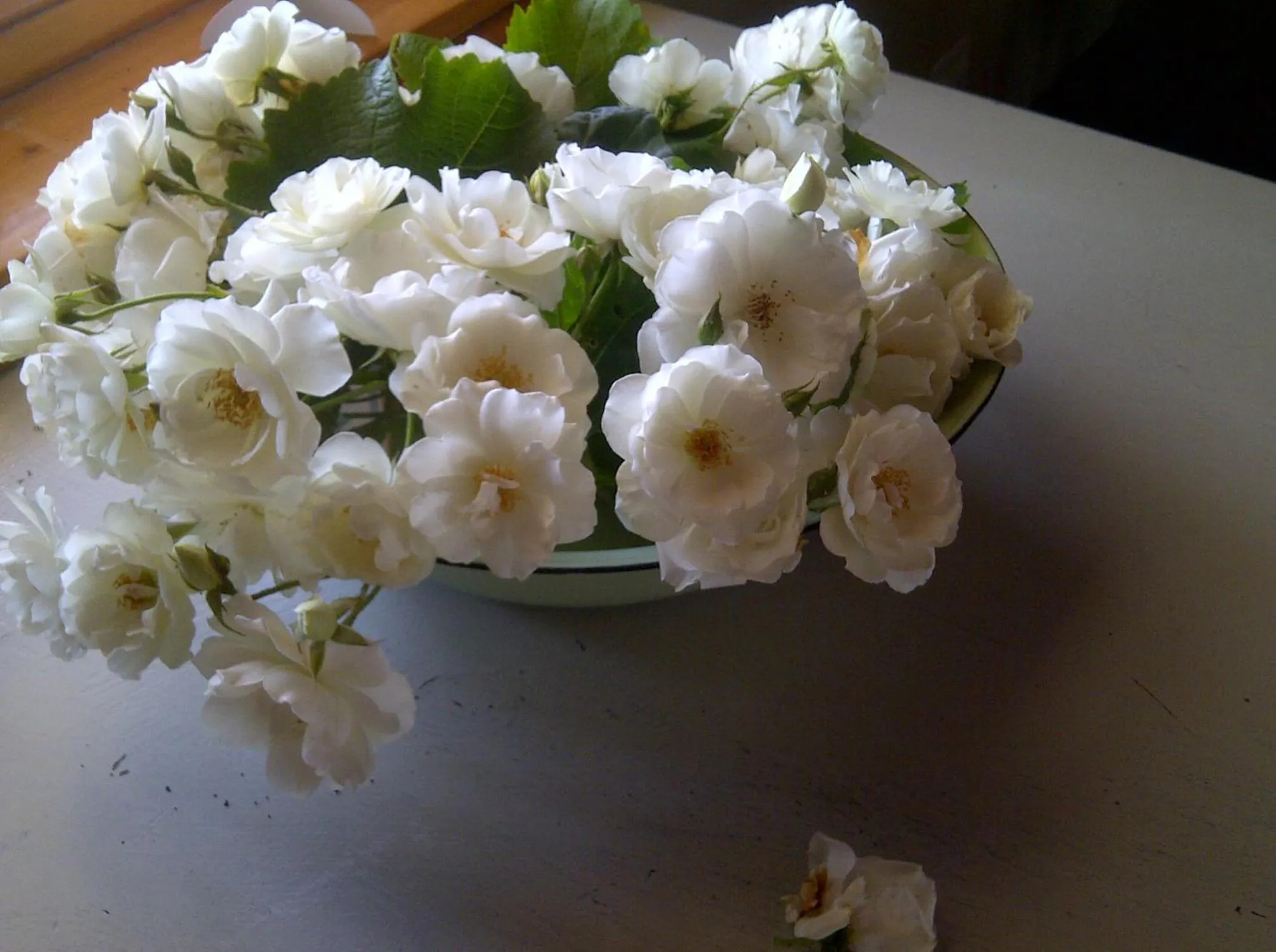 Property building in The Vineyard Country House