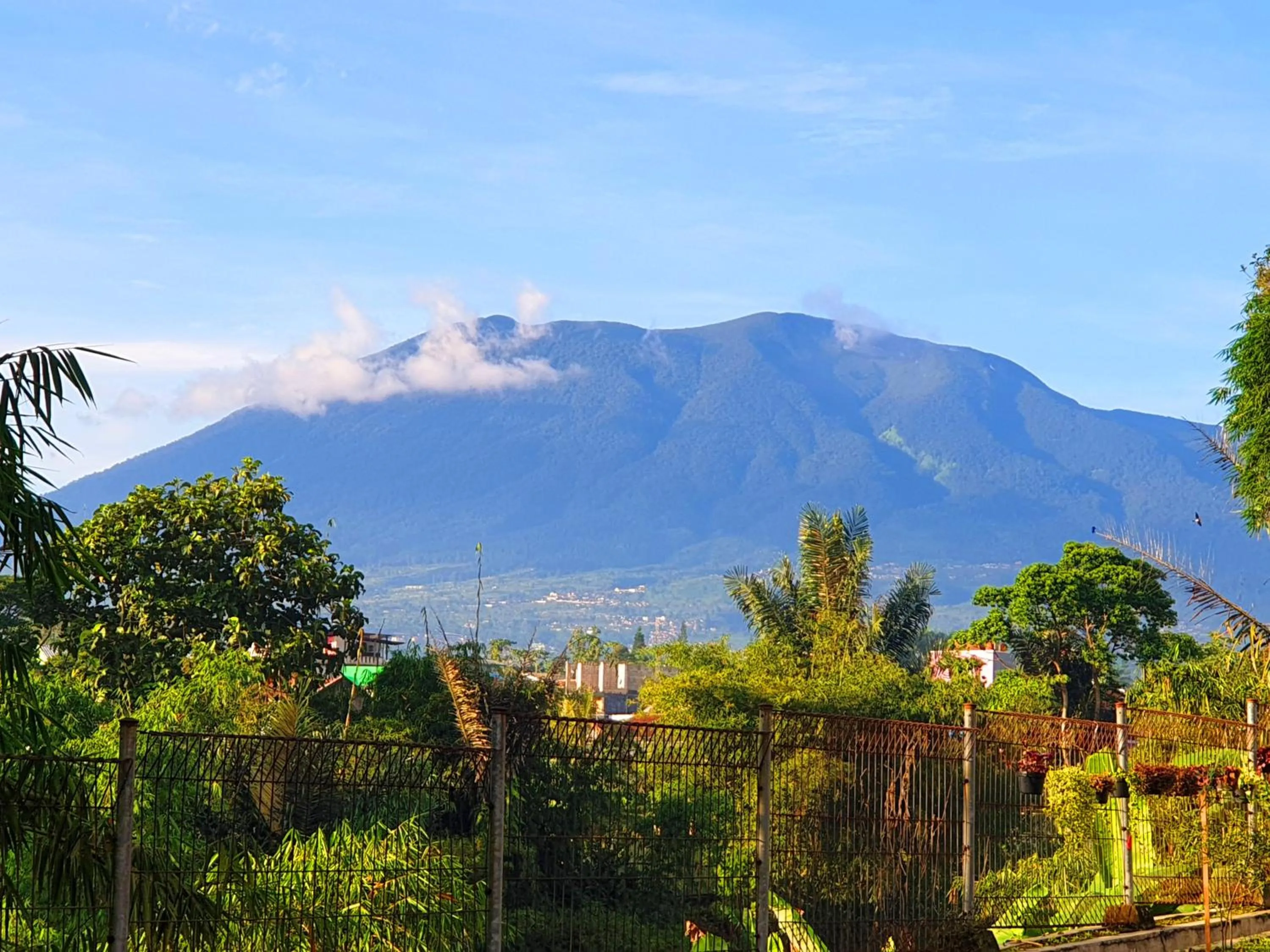 Villa Miky Kota Bunga Puncak Cianjur Bogor