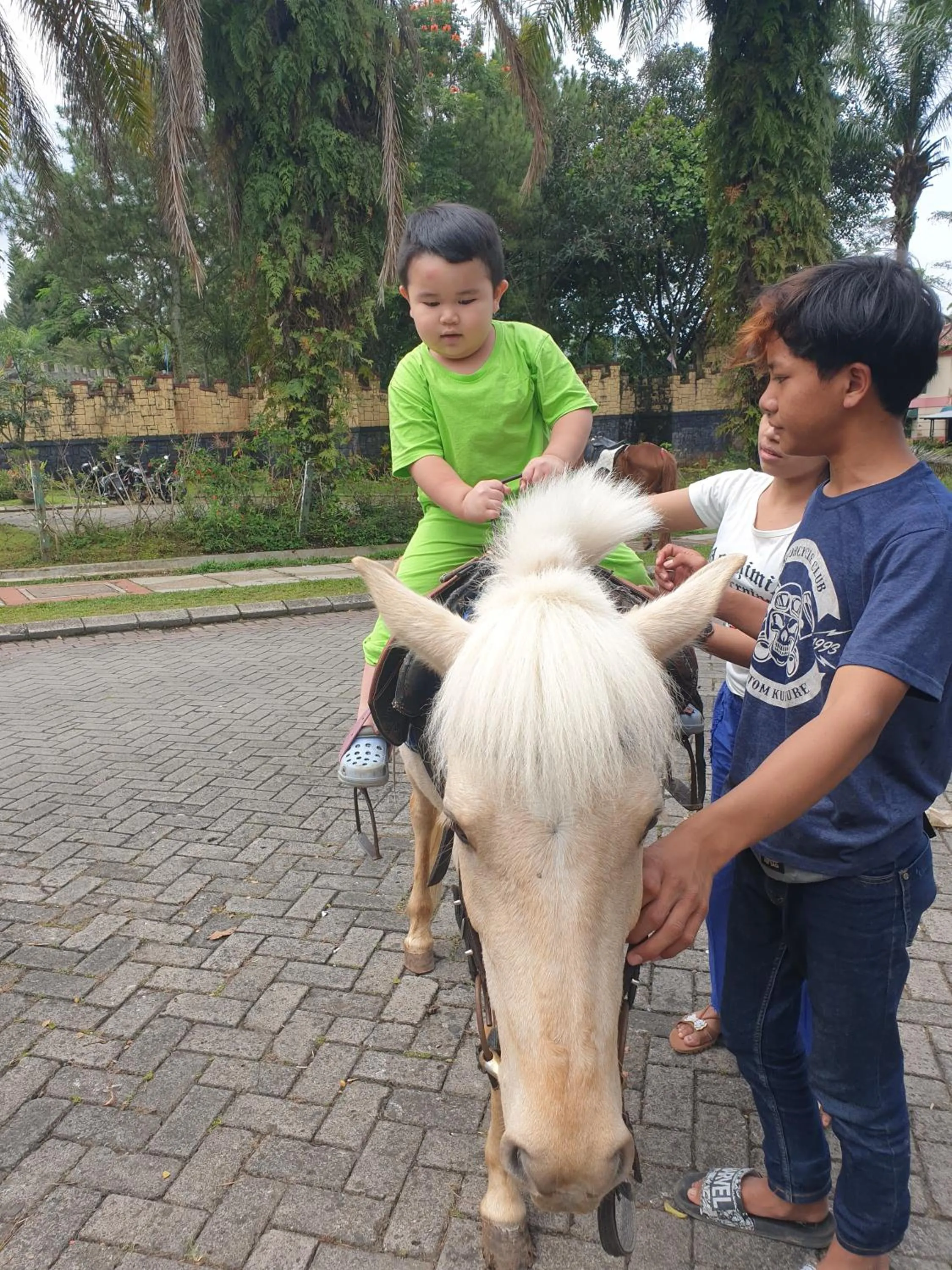 Villa Miky Kota Bunga Puncak Cianjur Bogor