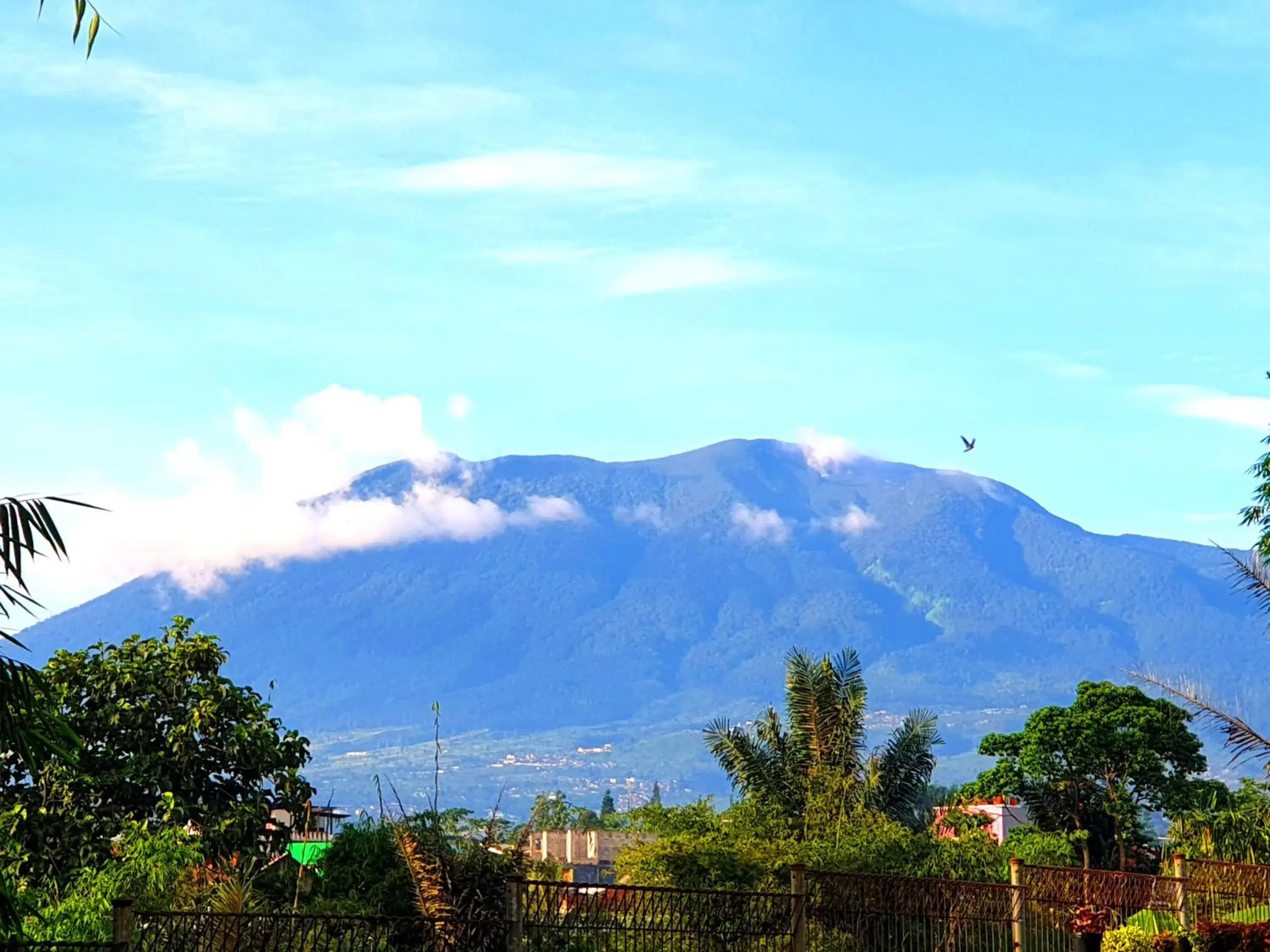 Villa Miky Kota Bunga Puncak Cianjur Bogor Villa Miky Kota Bunga Puncak Cianjur Bogor