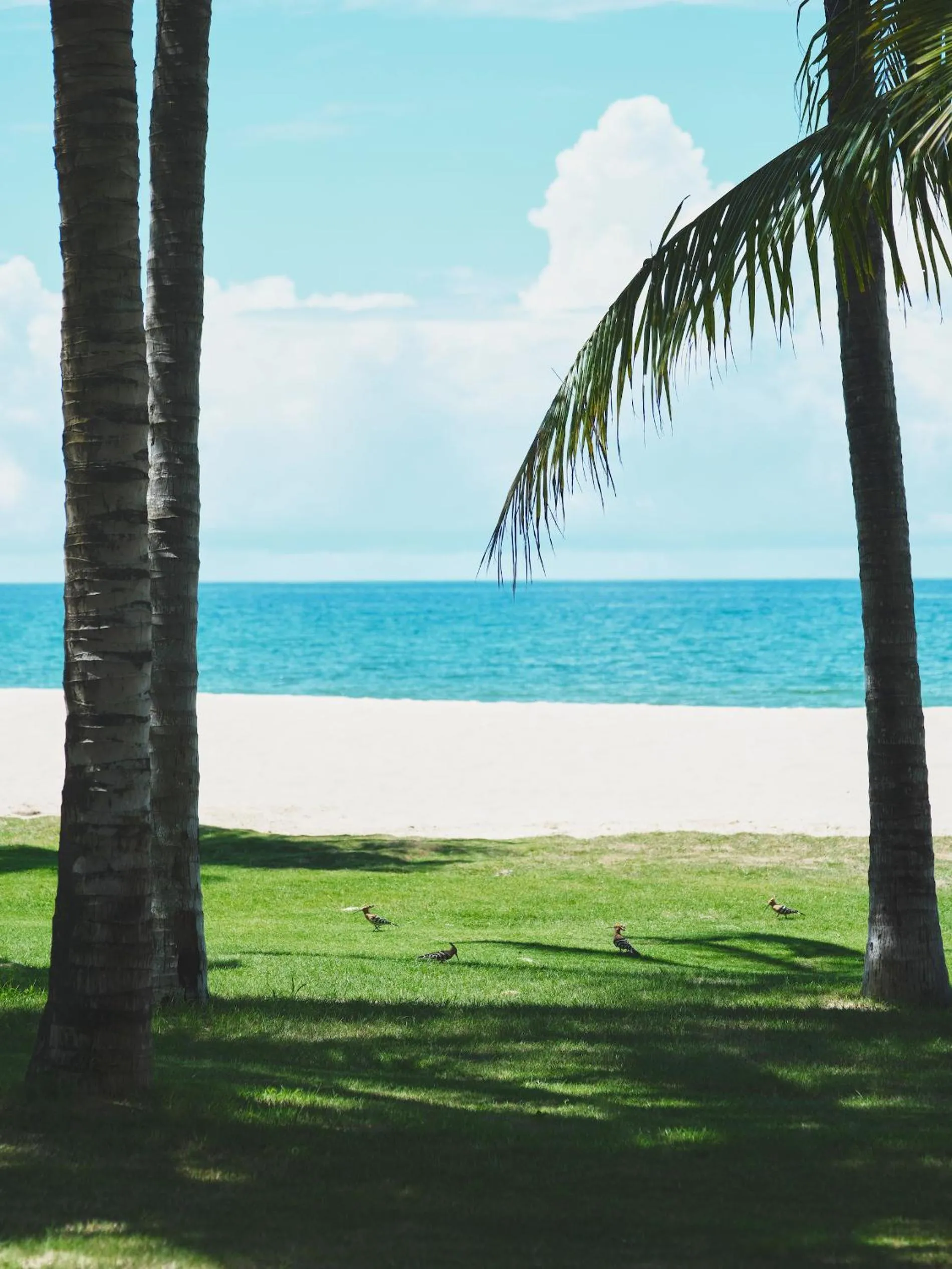 Capella Tufu Bay, Hainan