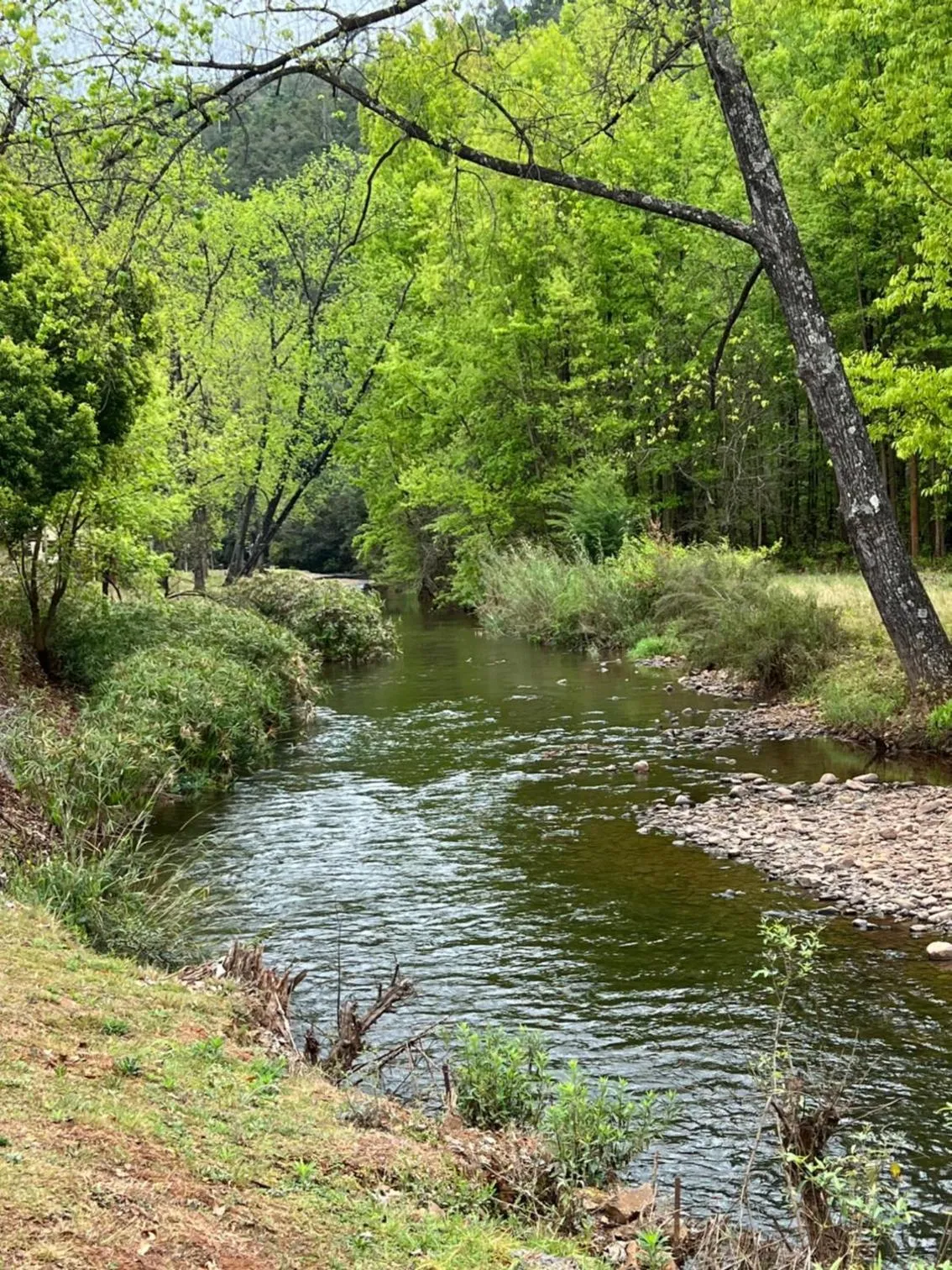 River view in Merry Pebbles Resort