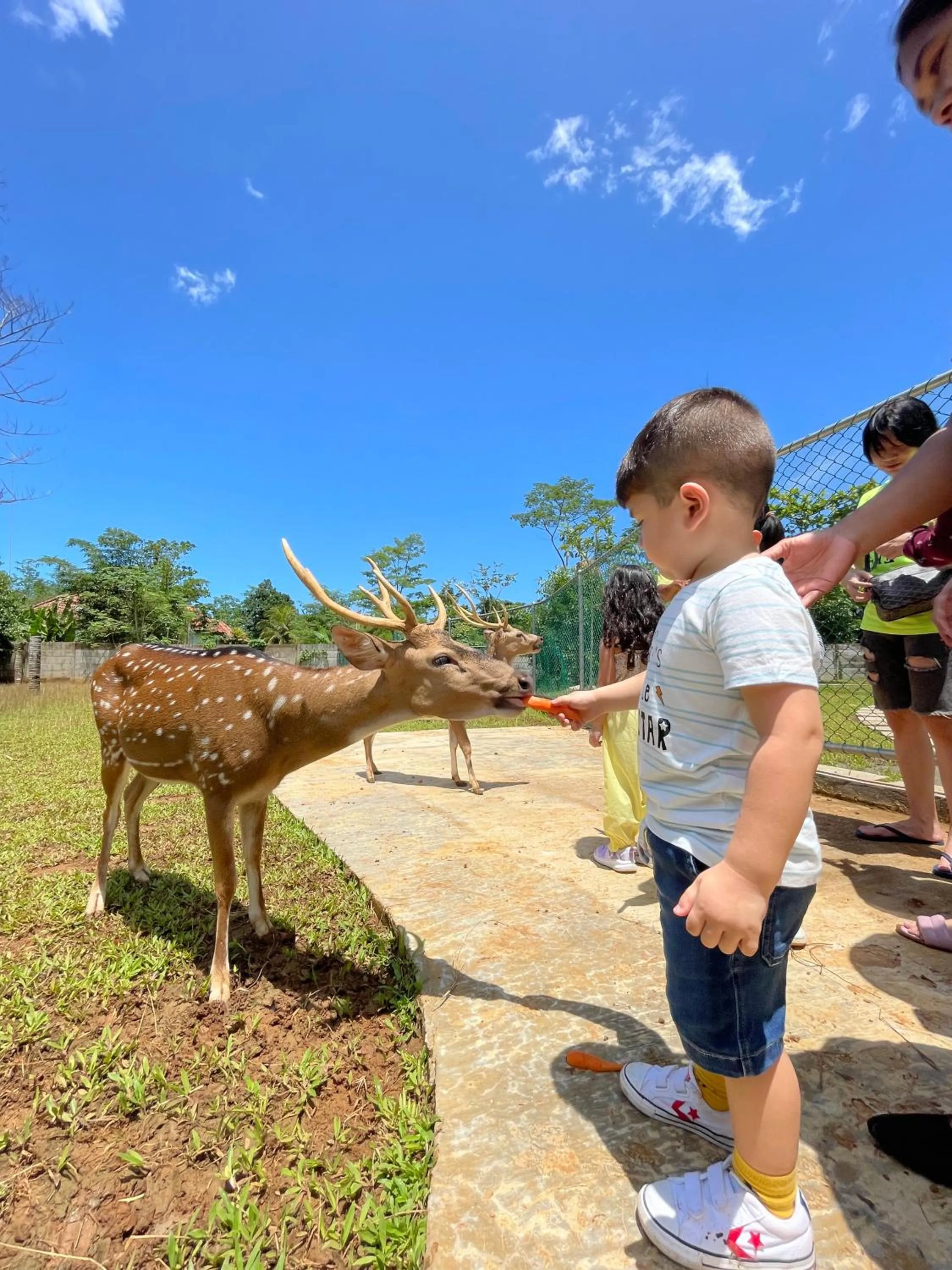 Animals in Mutiara Carita Cottages